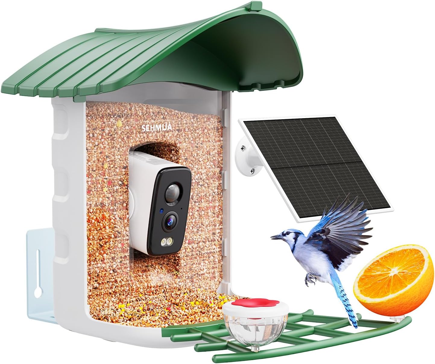 AI Bird Cam w/ 1 Yr Trial, Solar Panel, Auto Record