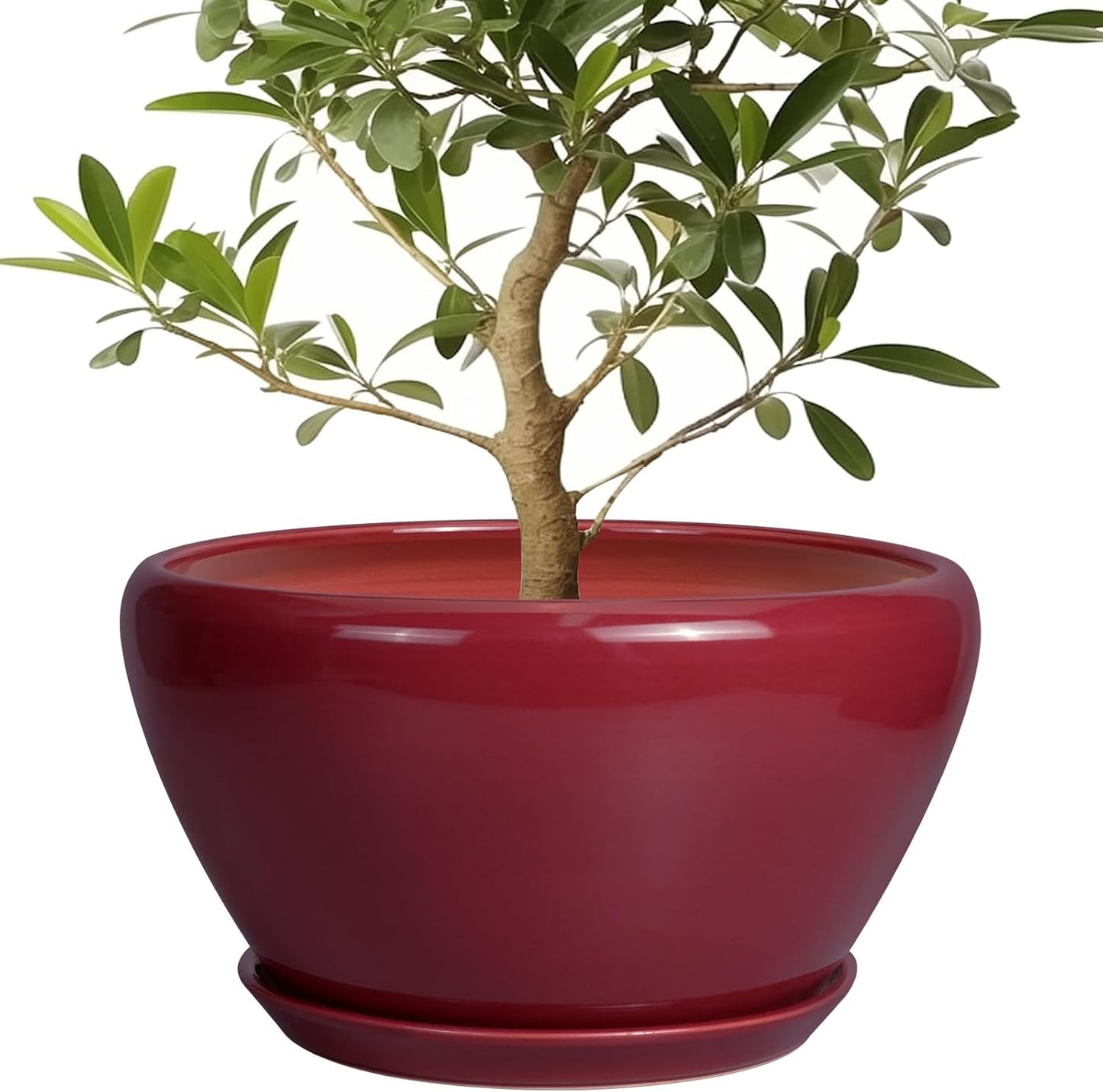 Ceramic Planter 13 Inch Large Pot with Drainage Hole and Saucer