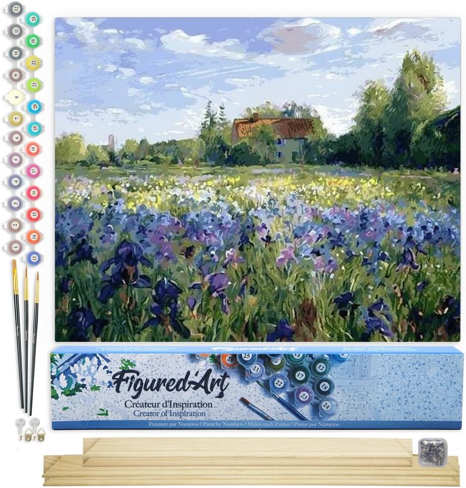 Figured'Art Paint by Numbers Kit for Adults - Countryside Field