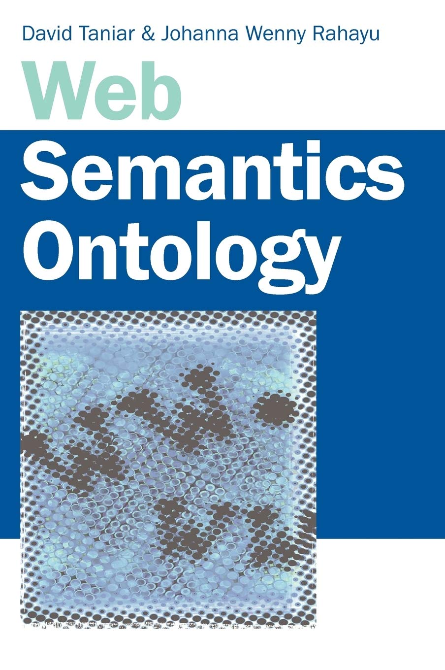 Web Semantics and Ontology: A Comprehensive Guide to Knowledge