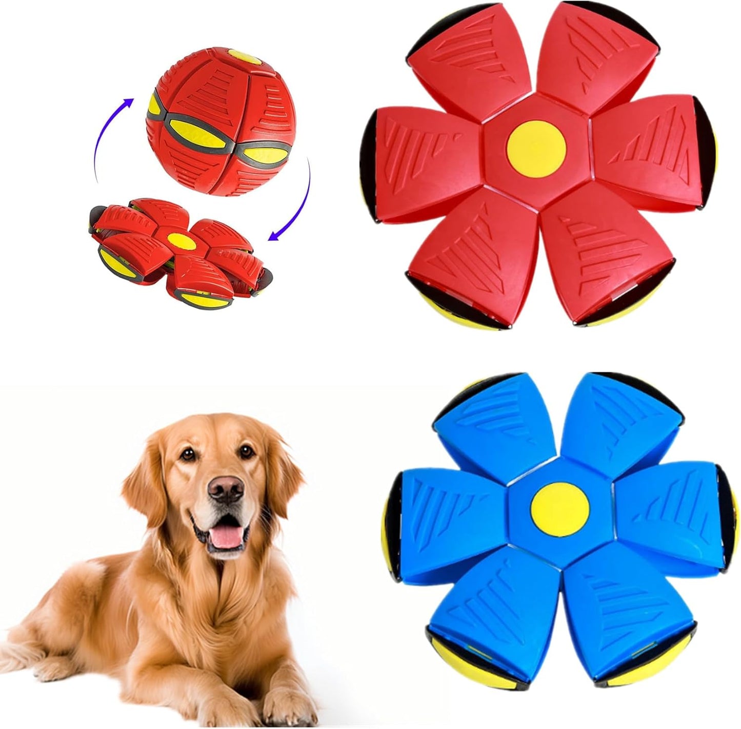 Interactive Dog Disc Set for Active Play
