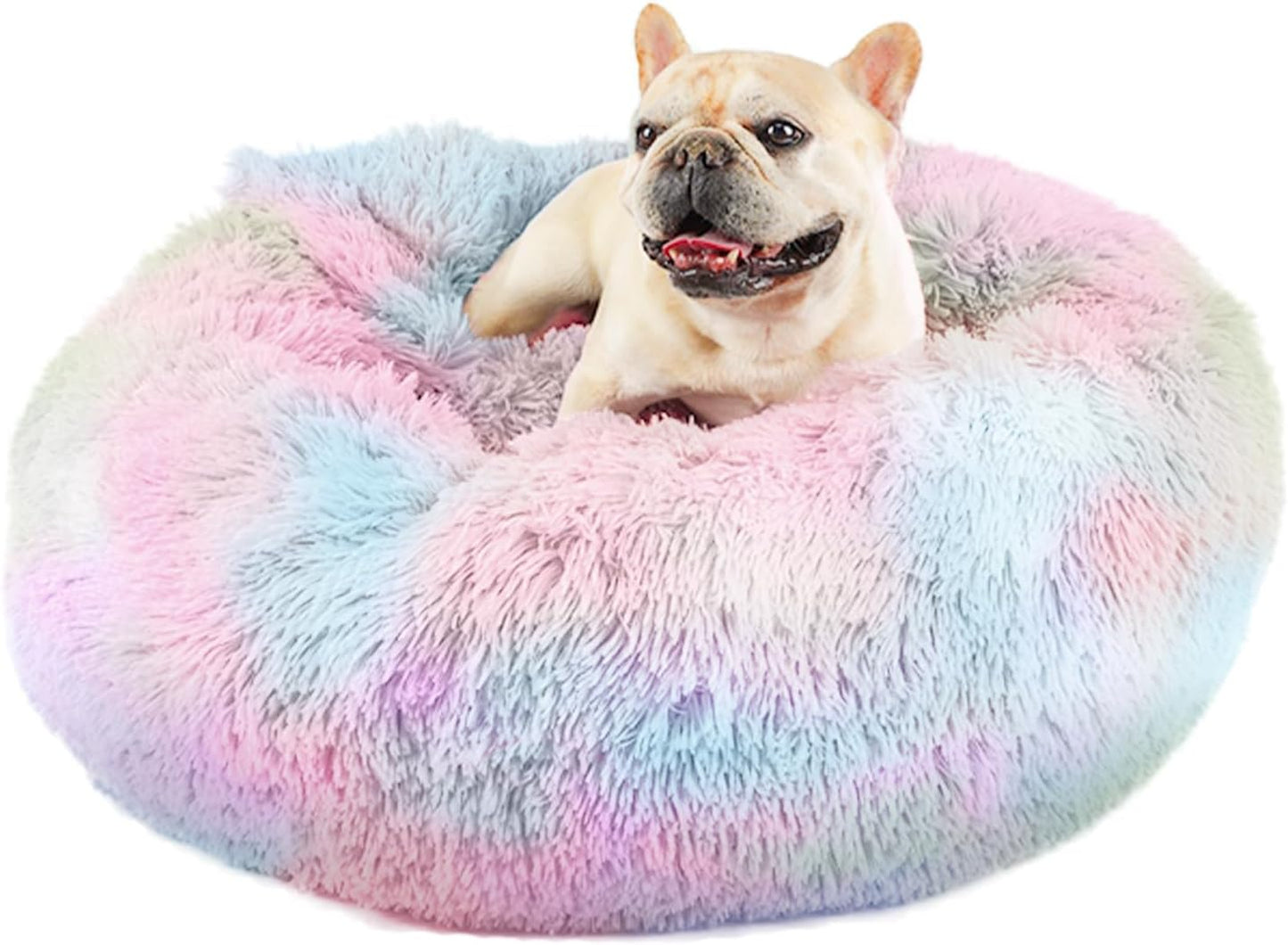 Himax Medium Dog Bed with Blanket for Cozy Pet Retreat