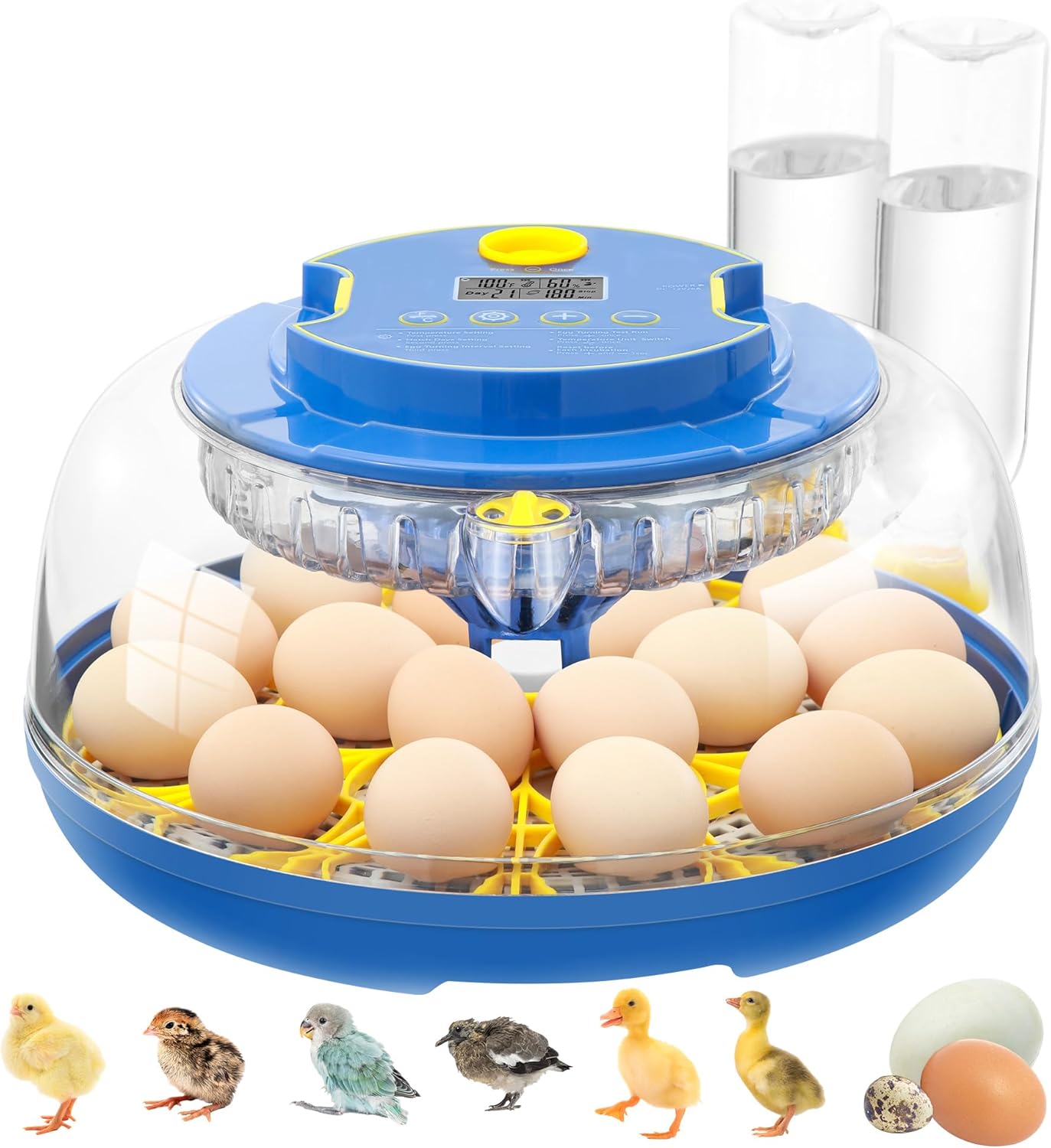18 Egg Incubator with Automatic Turning and Humidity Control