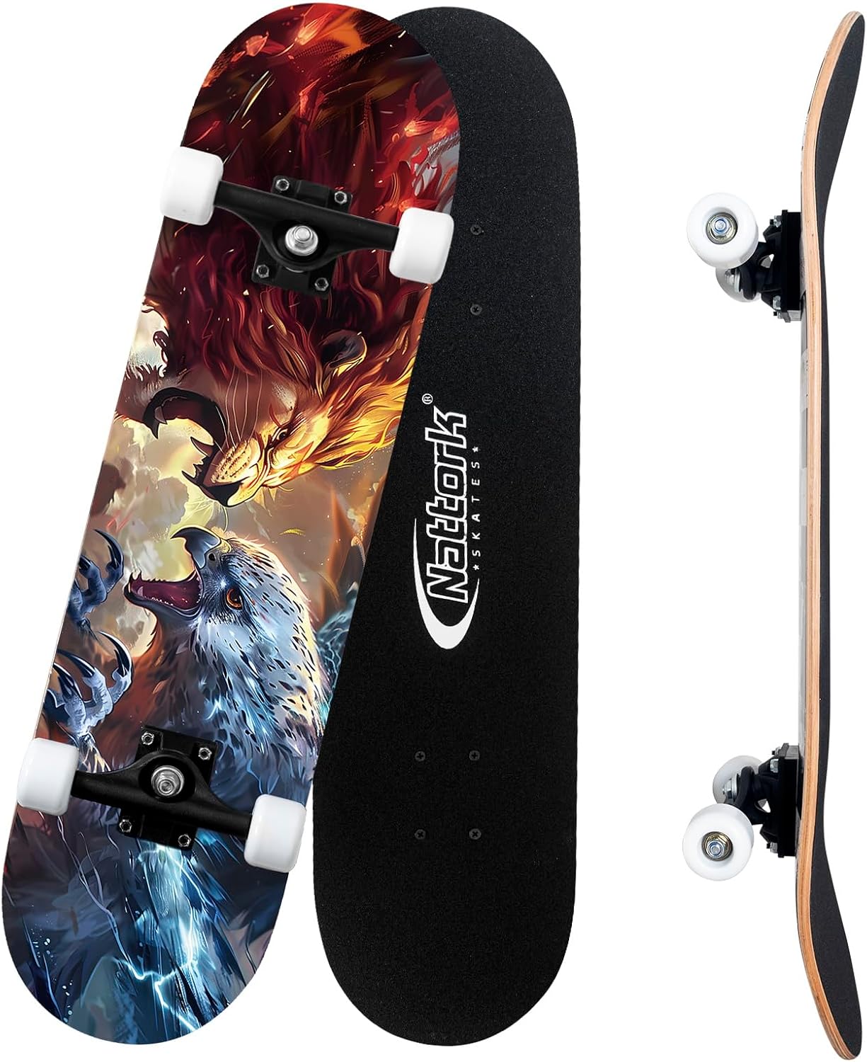 31 Inch Complete Skateboard for Beginners and Pros - Nattork