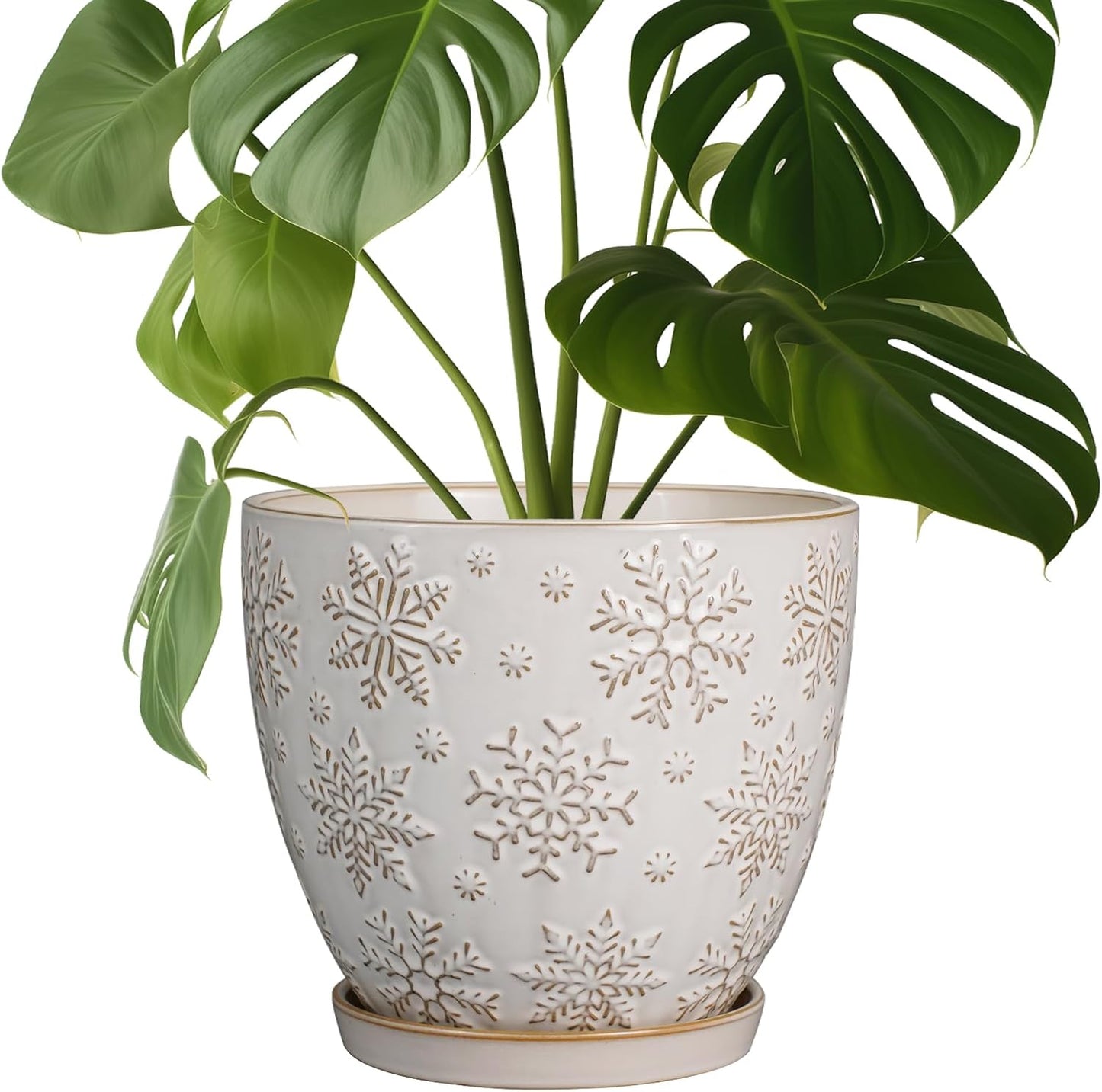 Ceramic Planter 8 Inch Pot with Drainage Hole for Home Decor