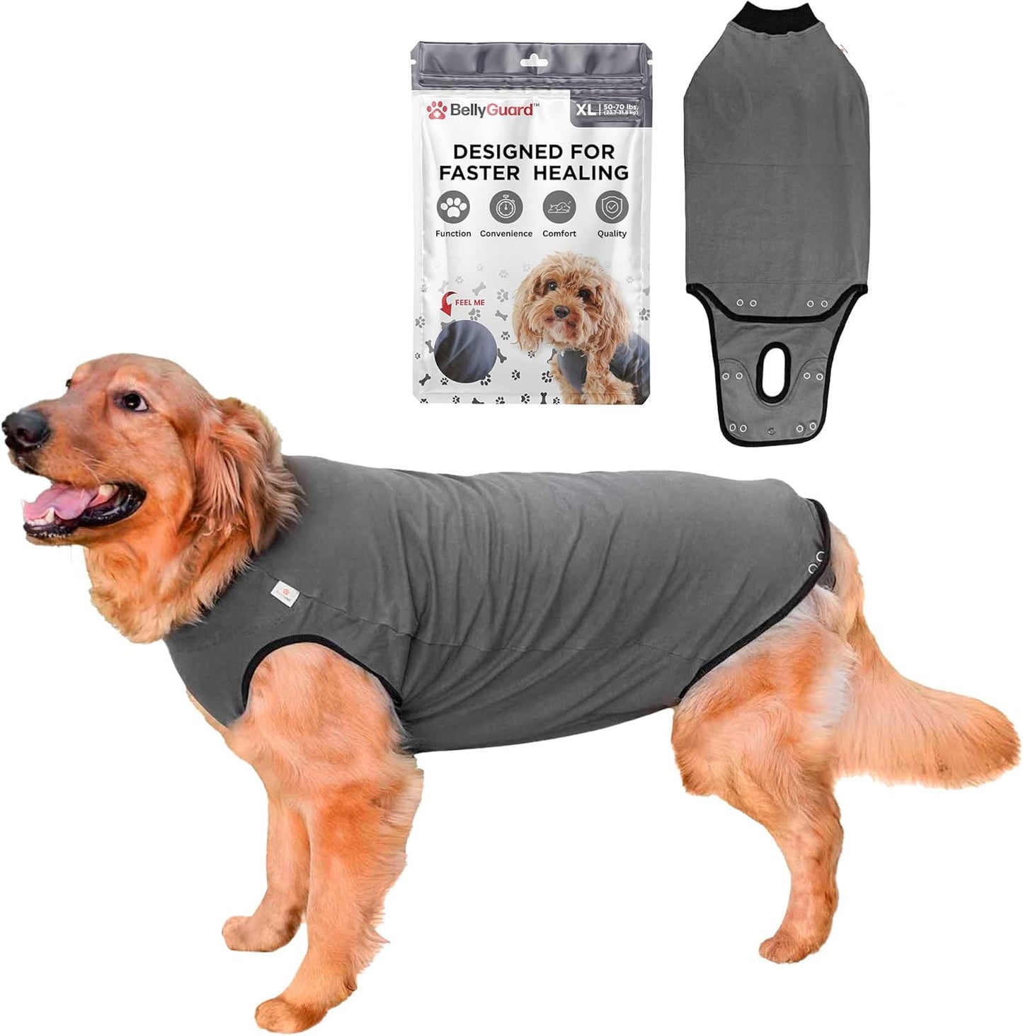 BellyGuard Recovery Suit for Dogs - Comfy Post-Op Care Onesie