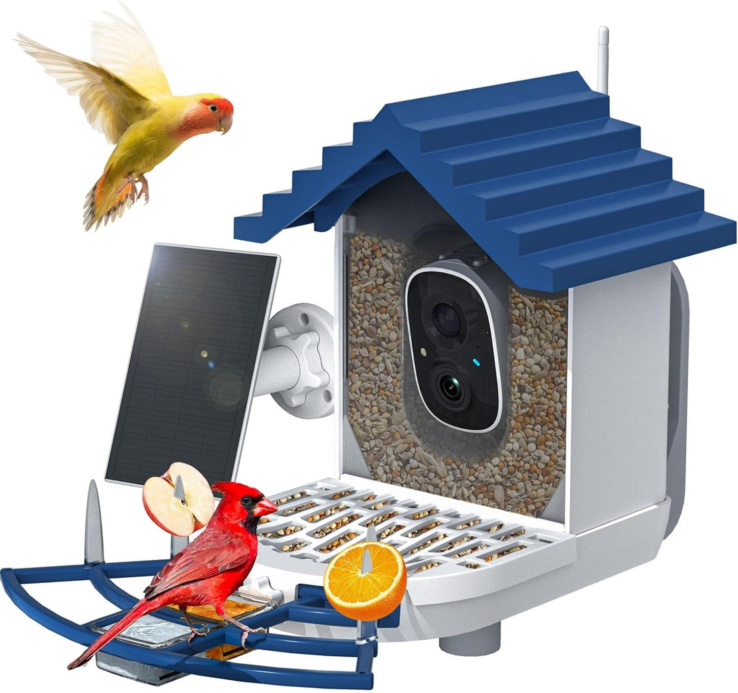 AI Bird Identification Camera Feeder - HD Live Video, Solar Powered!