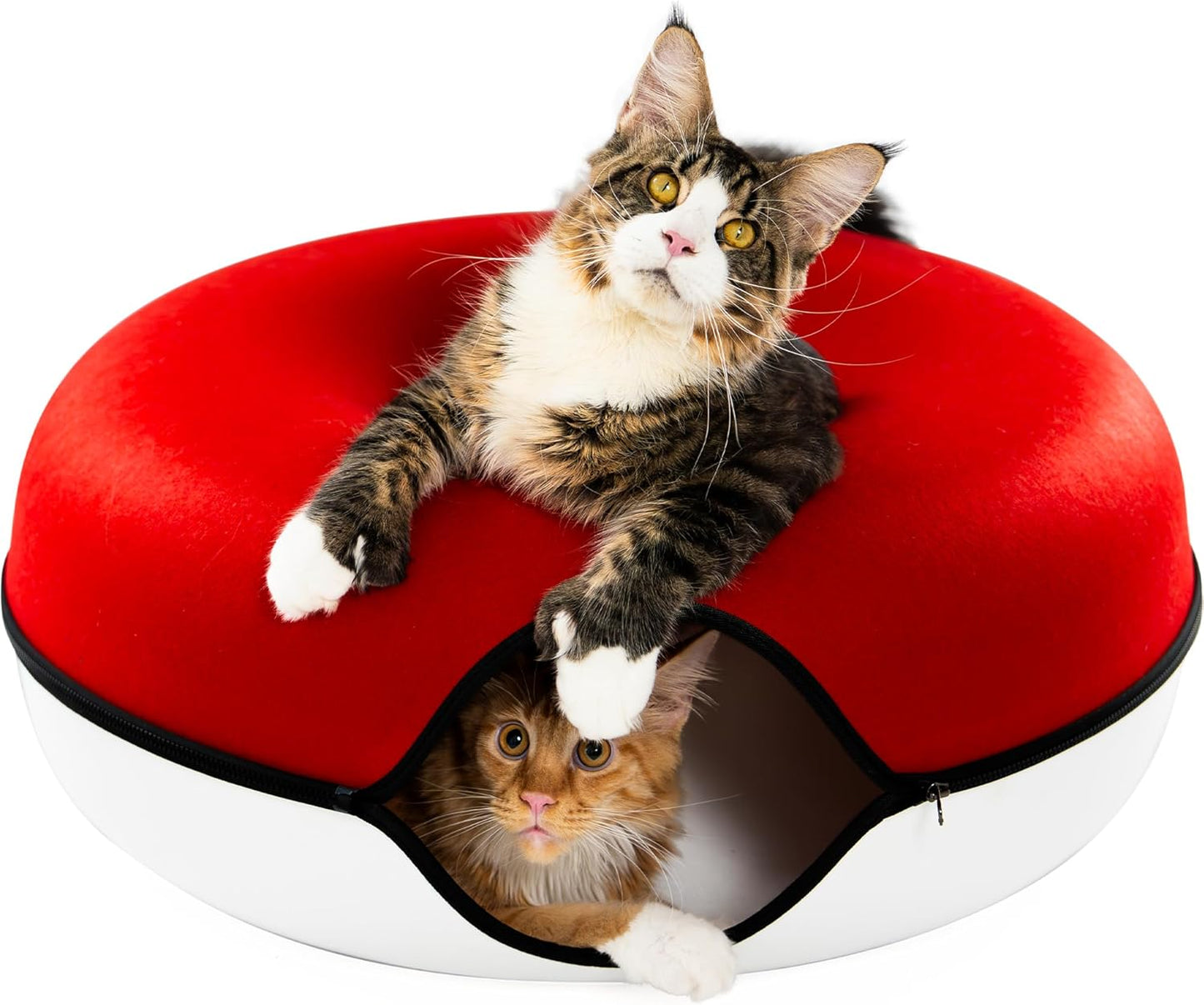 Cattasaurus Peekaboo Cat Cave for Large Cats and Kittens