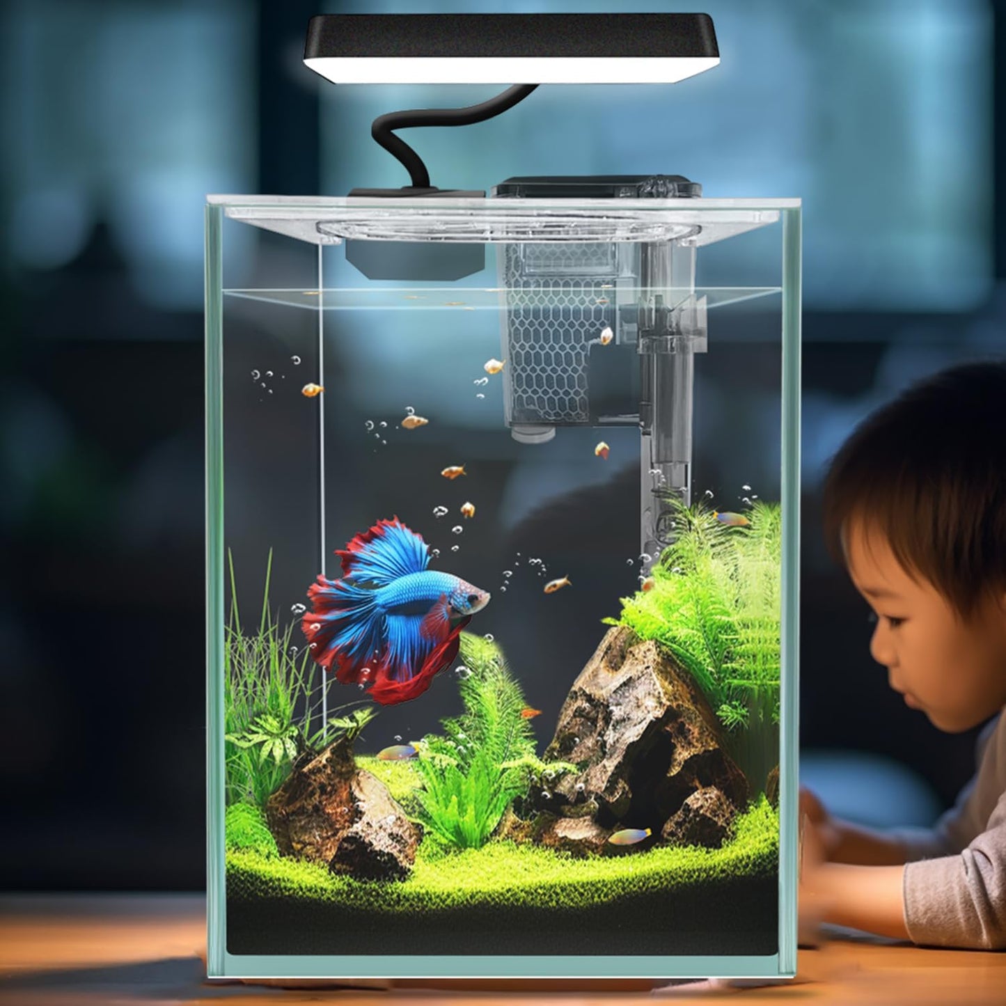 Ultra White Glass Betta Aquarium Starter Kit for Small Fish