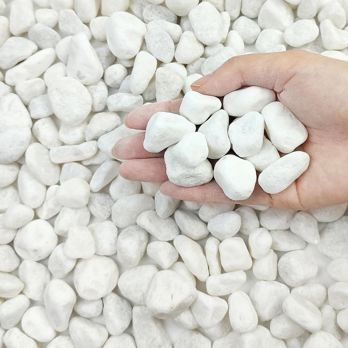 20 lbs White River Rocks for Landscaping and Indoor Plants