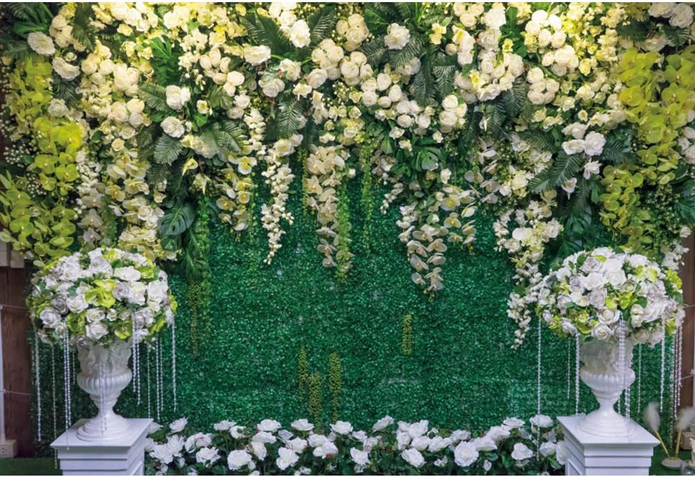 Haoyiyi 10x8ft Wedding Arch Backdrop with 3D White Flowers