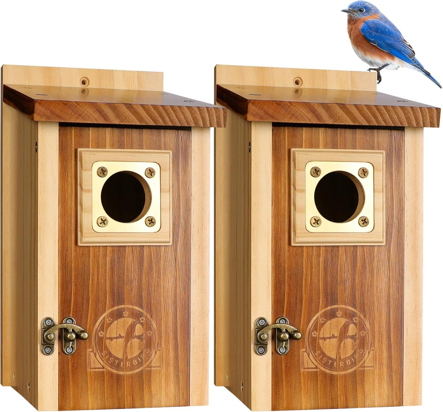 Pack of 2 Premium Wooden Bluebird Houses for Outdoor Use