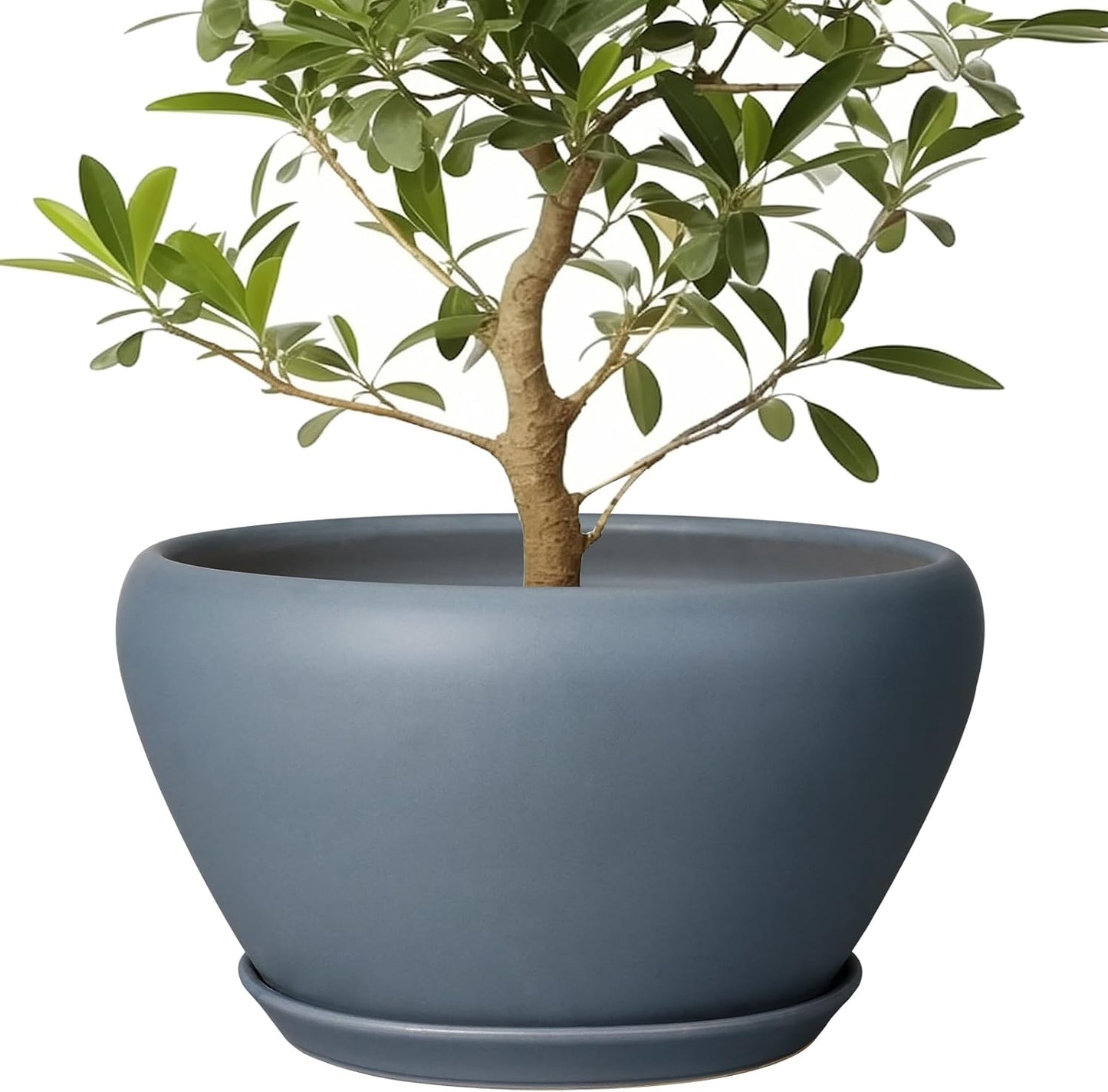 Ceramic Planter - 13 Inch Indoor Plant Pot with Drainage Hole
