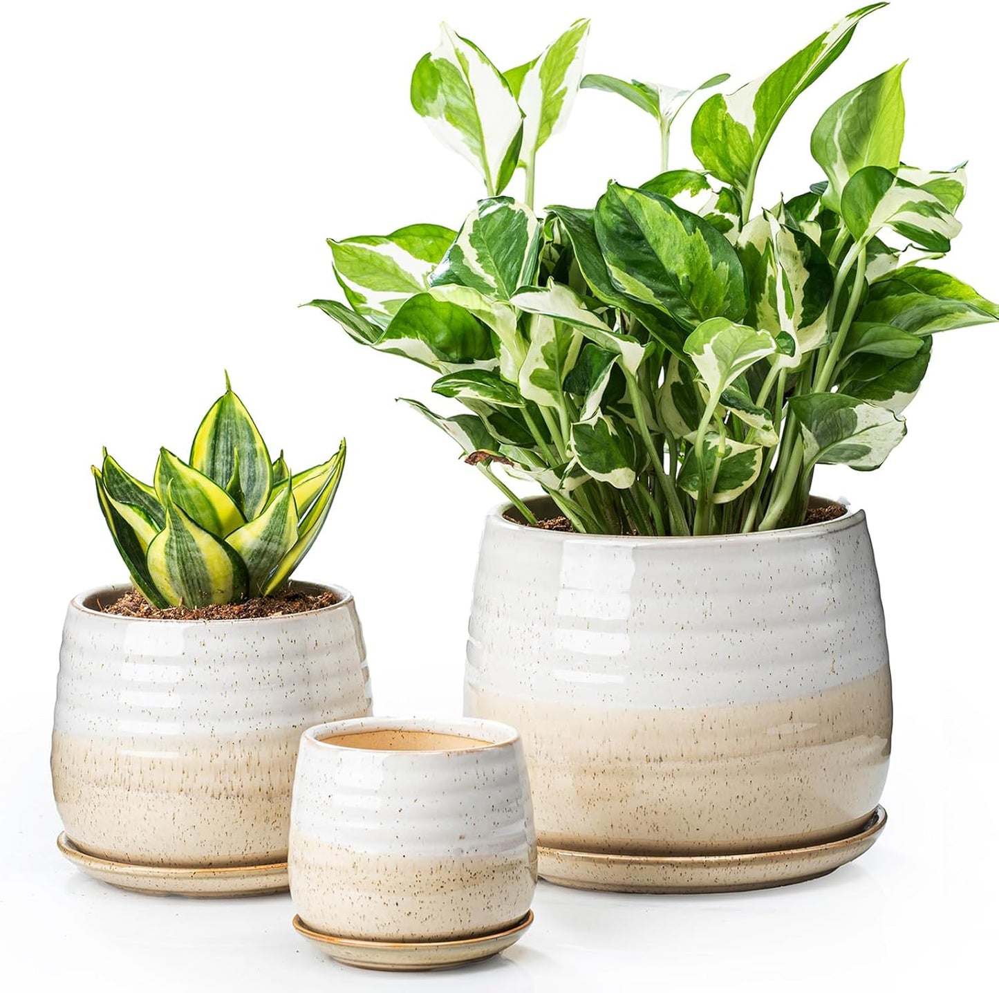 3 Pack Ceramic Small Plant Pots for Indoor Flowers and Decor
