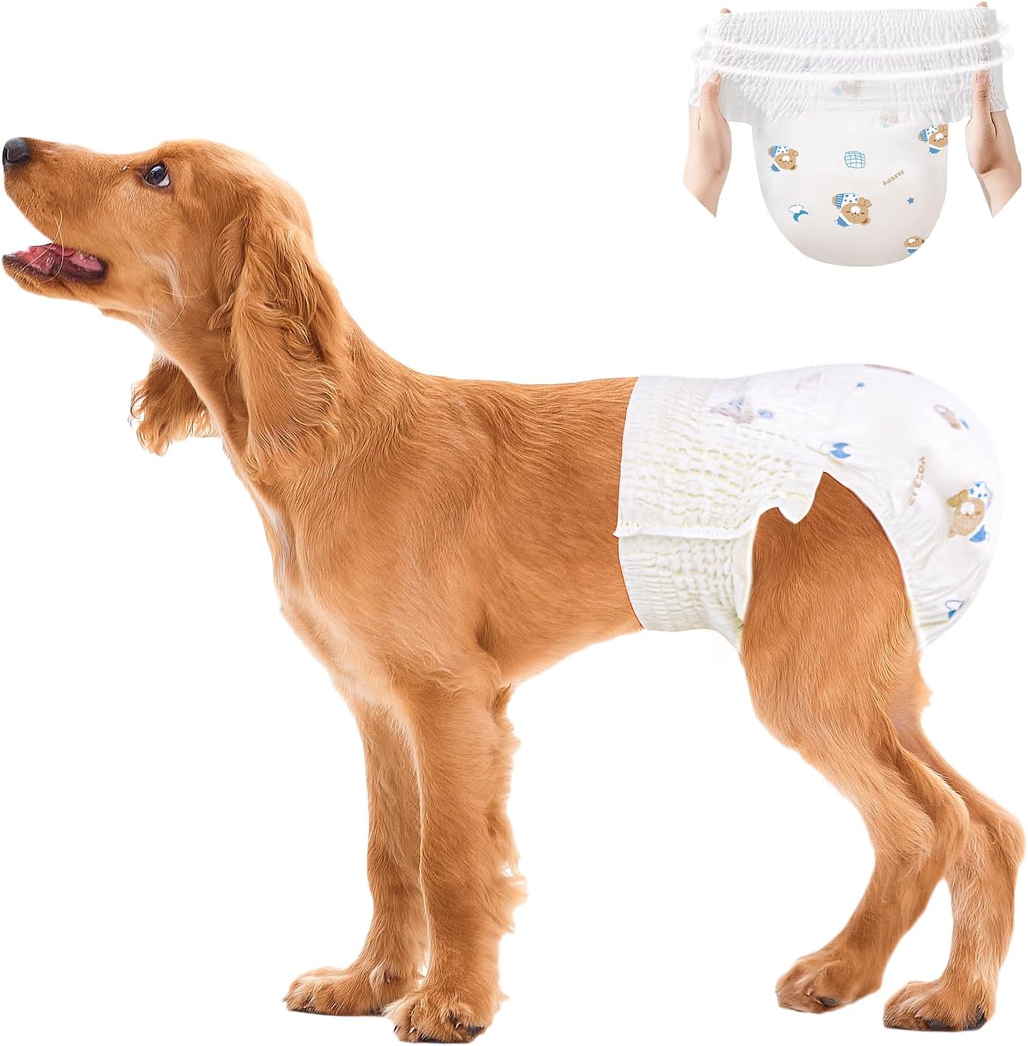 Leak-Proof Disposable Dog Diapers - 10 Pack