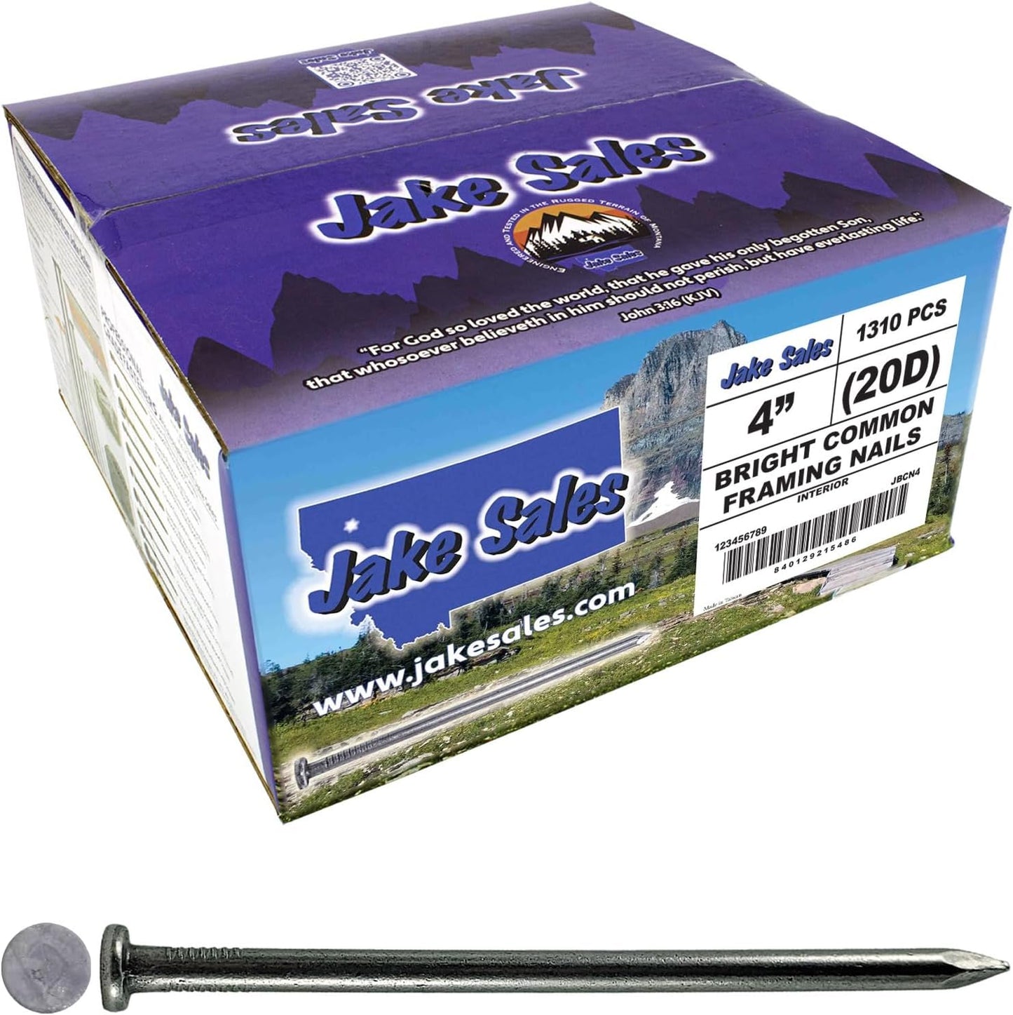 4 Inch Bright Common Nail 20D for Strong General Construction