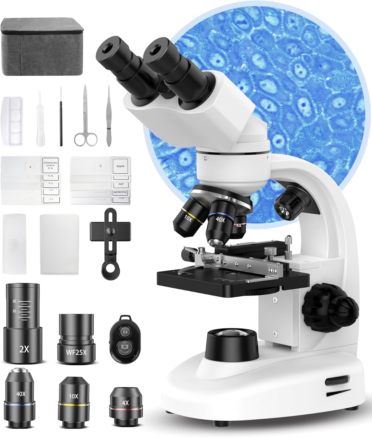 Compound Binocular Microscope for Kids & Students, 40X-2000X