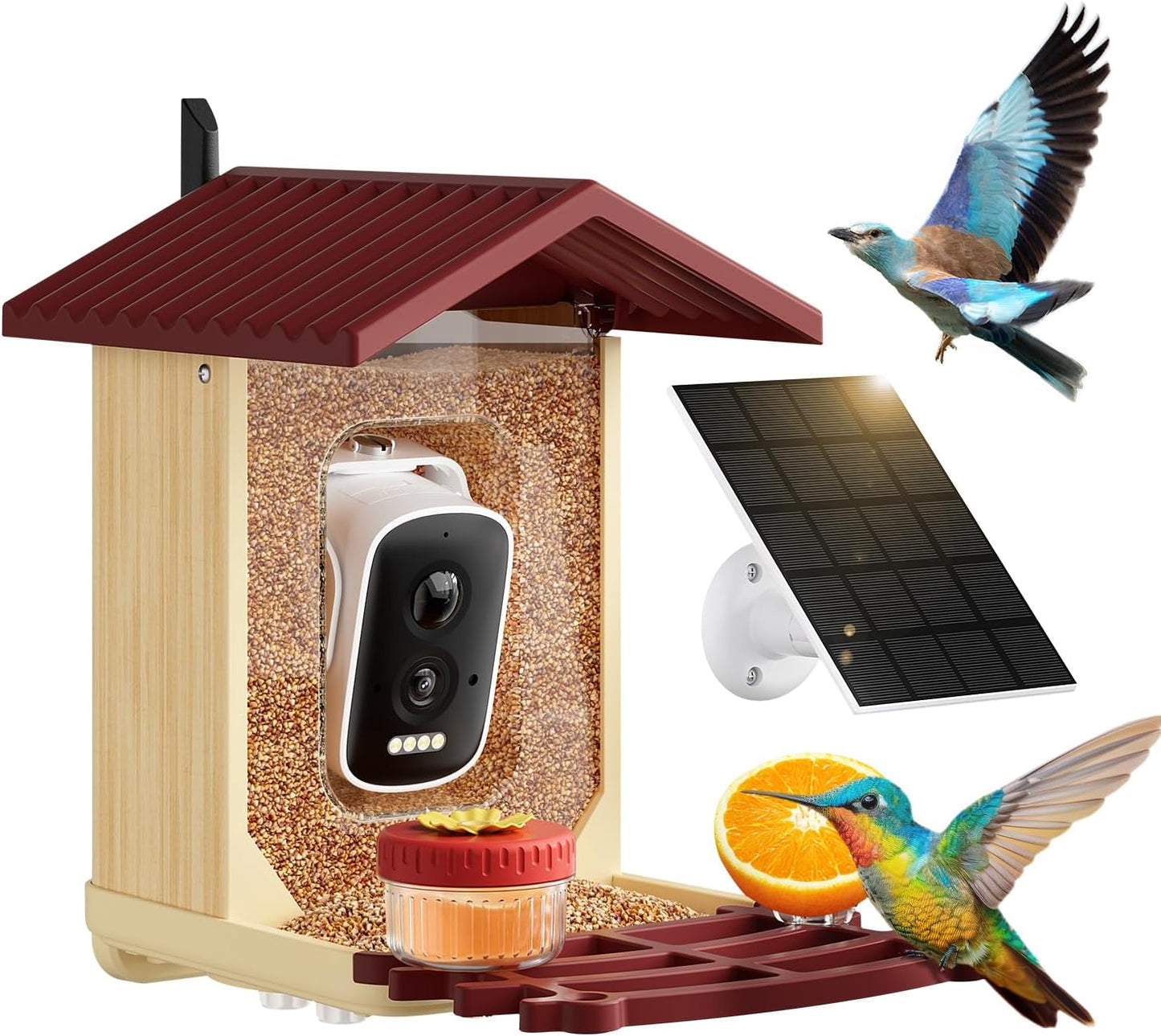 Smart Bird Feeder with Camera for Outdoor Bird Watching Fun