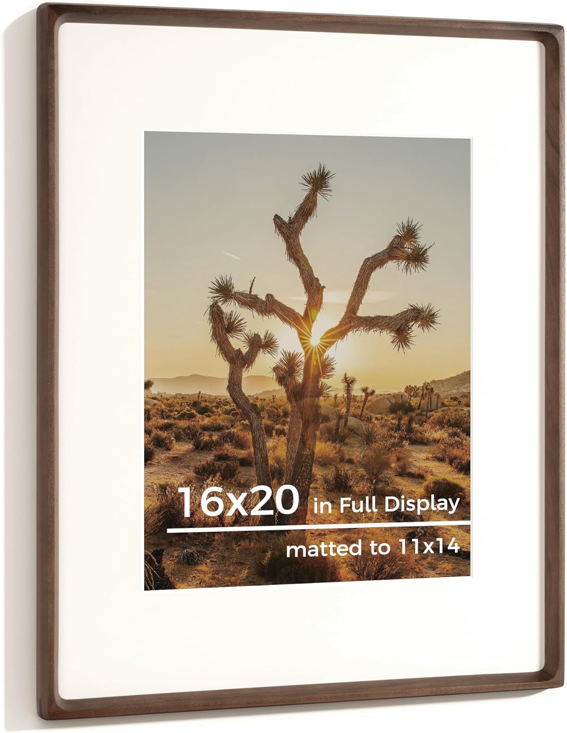 RICHFOCUS 16x20 Picture Frame in USA-Sourced Walnut Wood