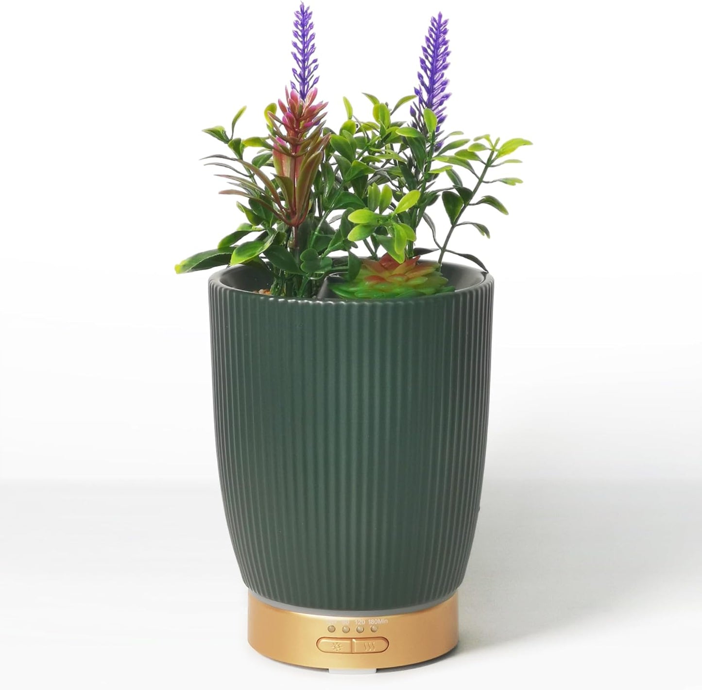 Essential Oil Diffuser with Ceramic Succulent Design for Aromatherapy
