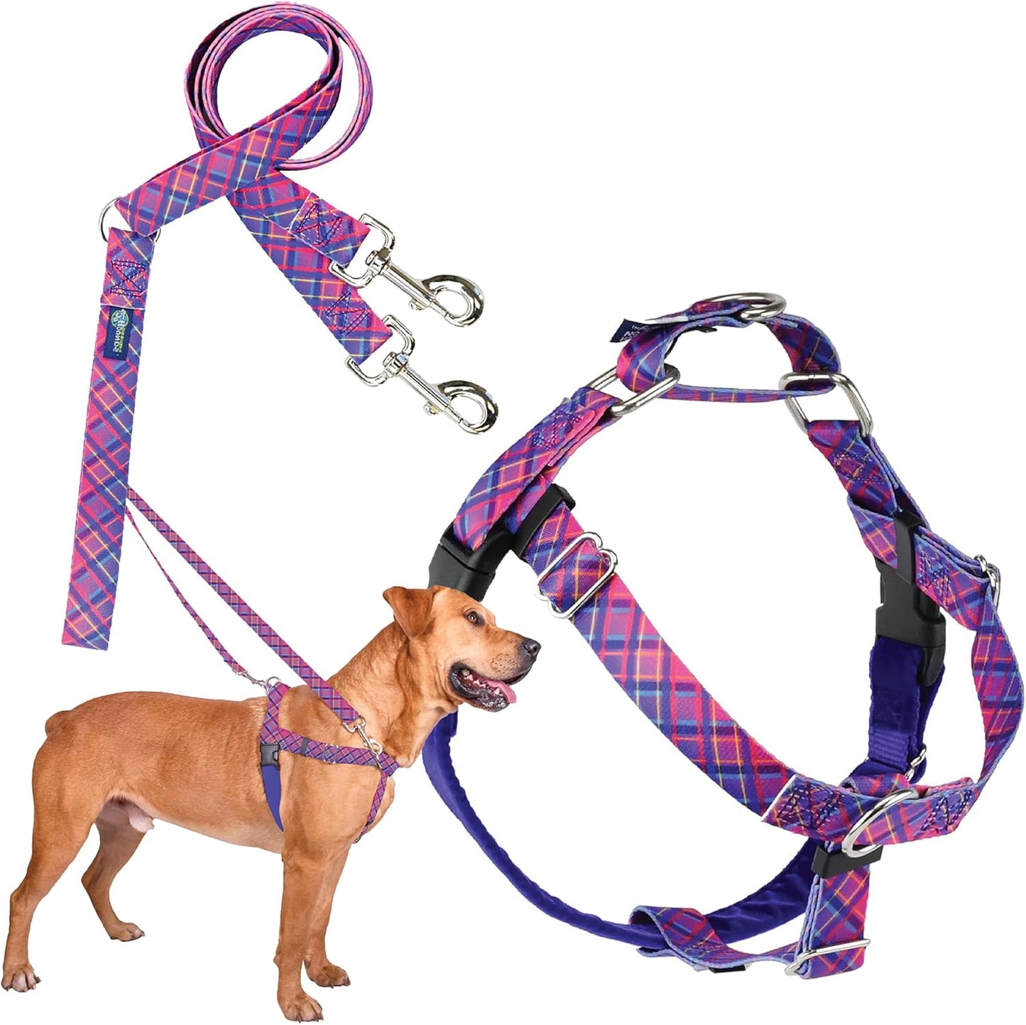 Freedom No-Pull Harness & Training Leash for Large Dogs