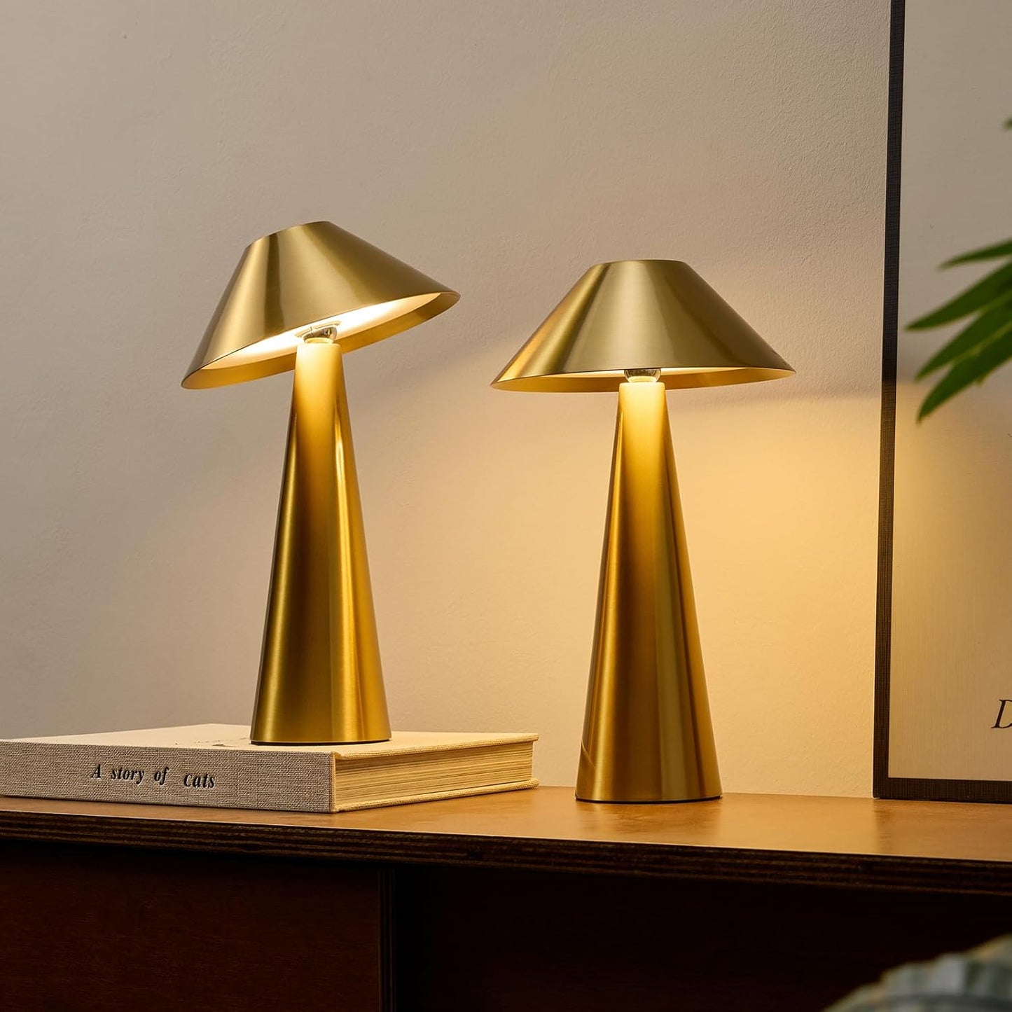 Bojim Cordless Battery Lamp Set of 2 for Stylish Lighting