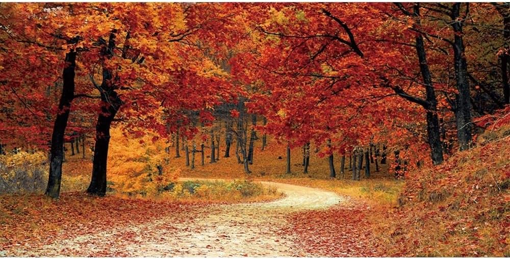 Leyiyi 20x10ft Autumn Forest Backdrop for Stunning Photos