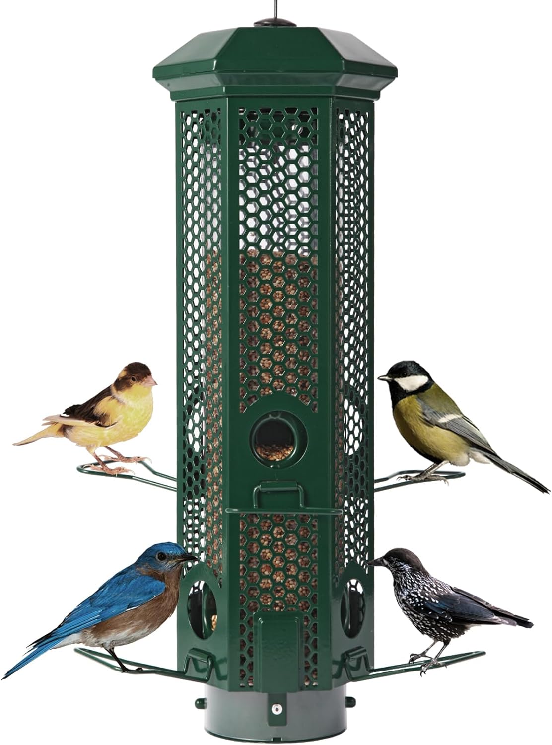 Squirrel Proof Bird Feeders with Removable Base for Outdoors