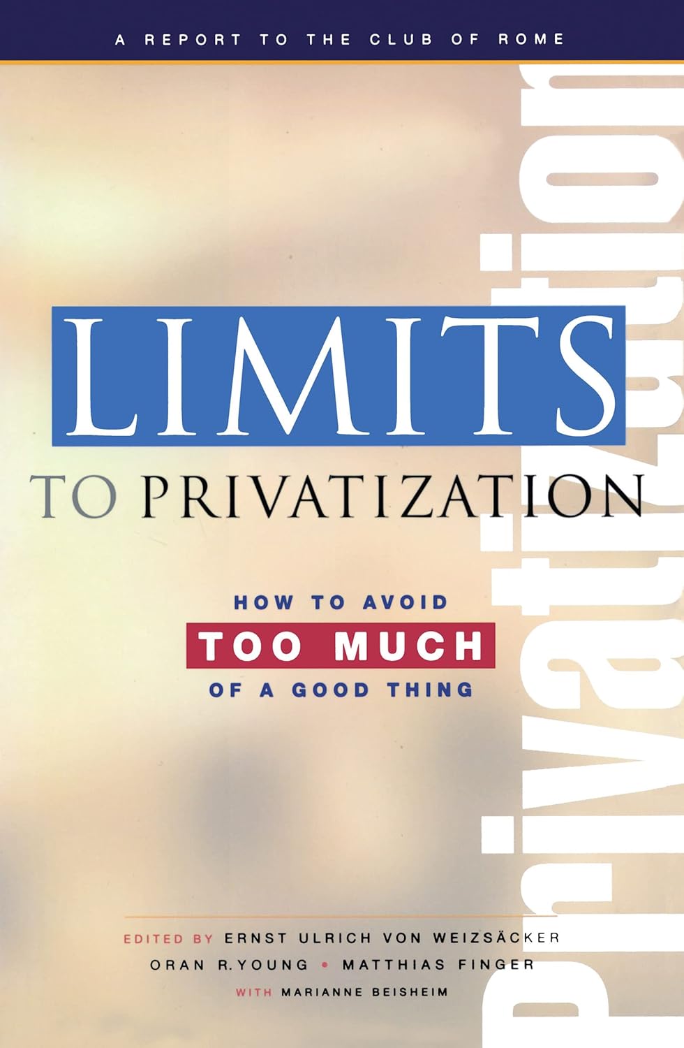 Limits to Privatization: A Comprehensive Analysis of Public Goods