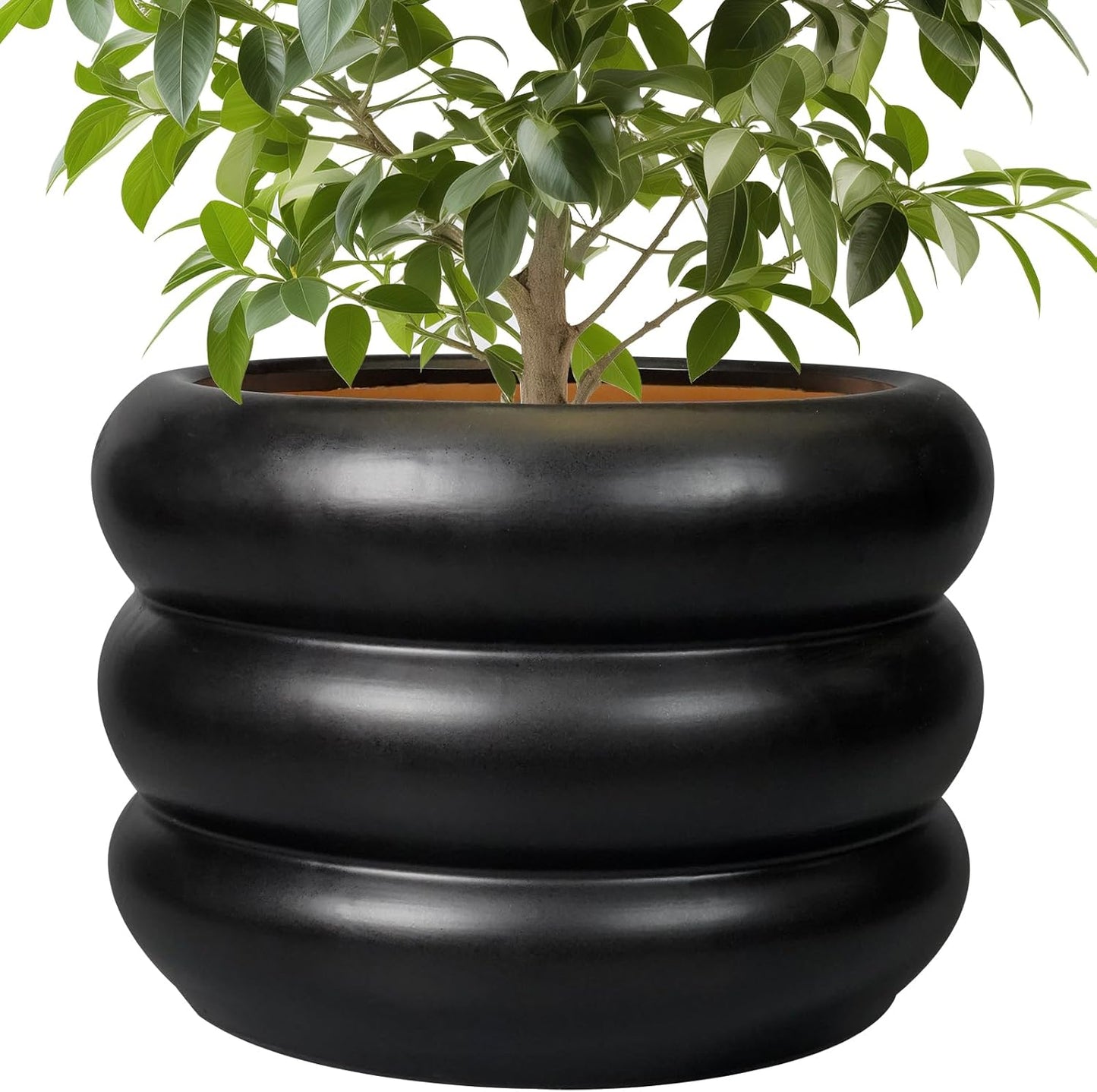 SQOWL 10 Inch Pot for Plants - Stylish Ceramic Planter for Home