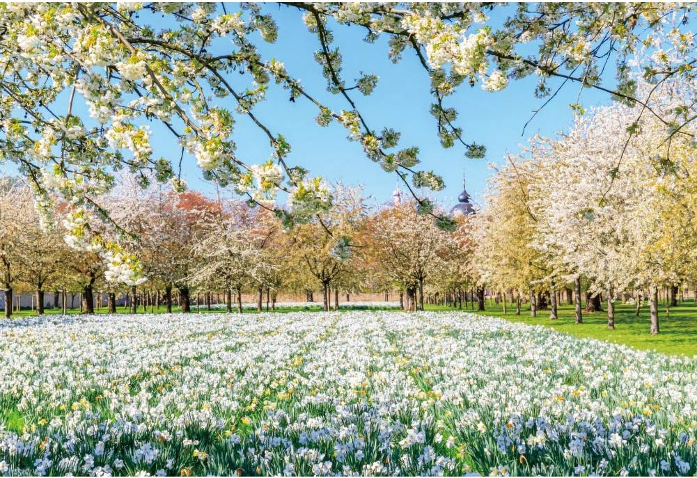 Yeele 10x8ft Spring Flowers Scenery Backdrop for Photography