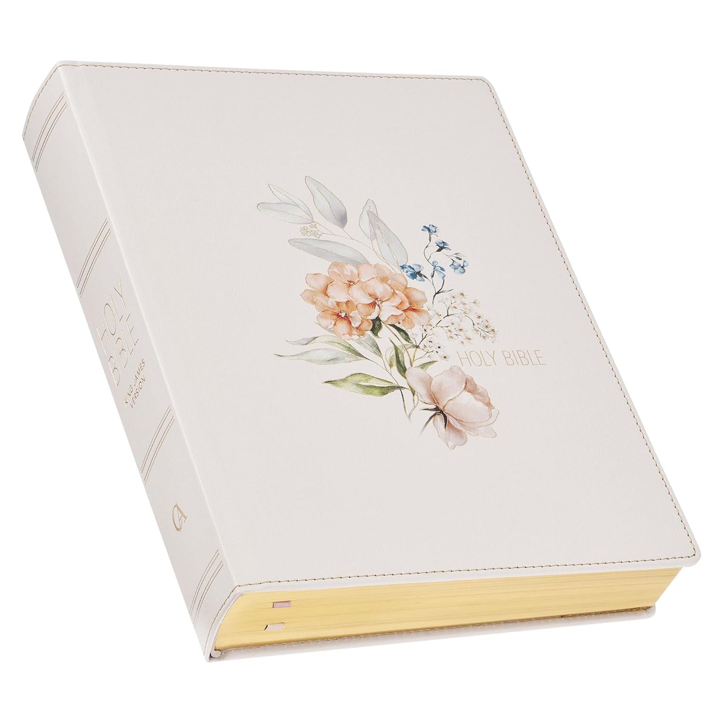 KJV Holy Bible Large Print Note-taking Edition Vegan Leather Cover