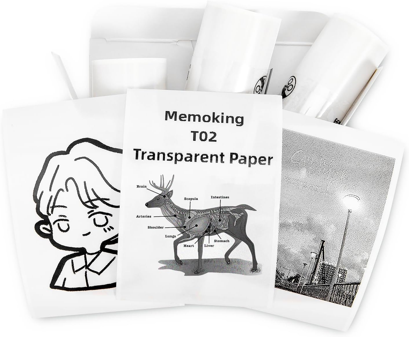 Premium Clarity: Memoking T02 Thermal Labels