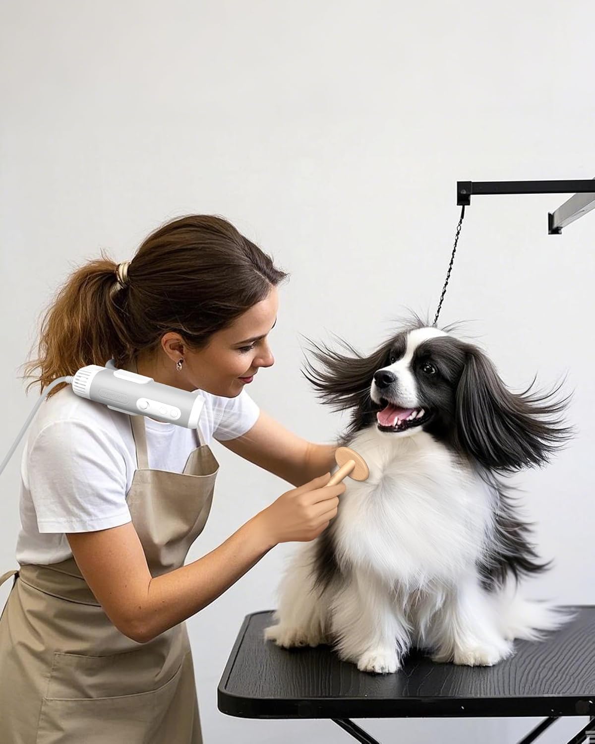 Powerful Hands Free Pet Dryer for Small & Medium Dogs & Cats