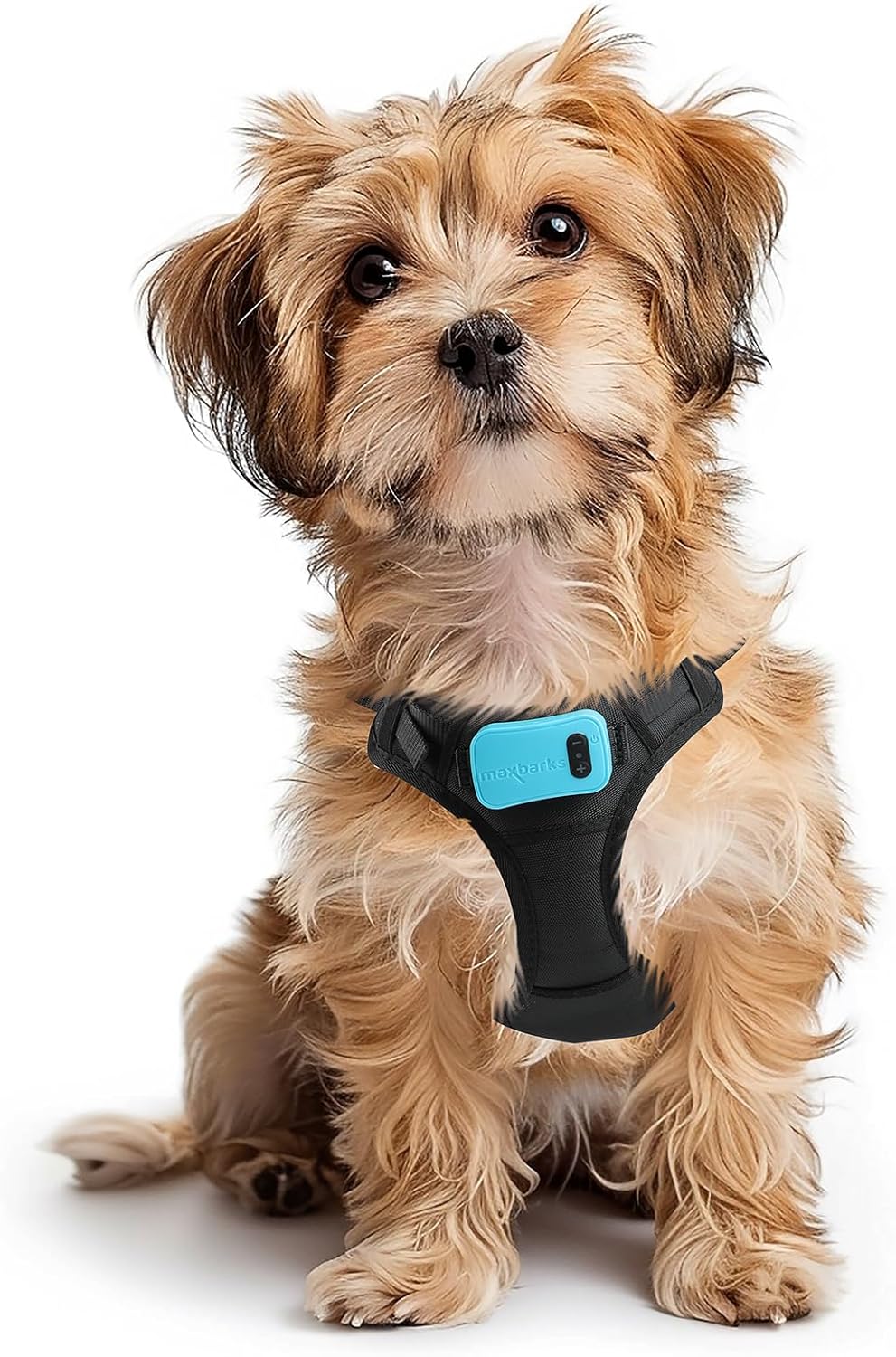 Bark Control Training Vest for Small Dogs - Rechargeable Device
