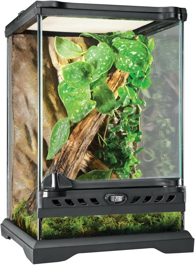 Exo Terra Glass Natural Terrarium Kit for Reptiles and Amphibians