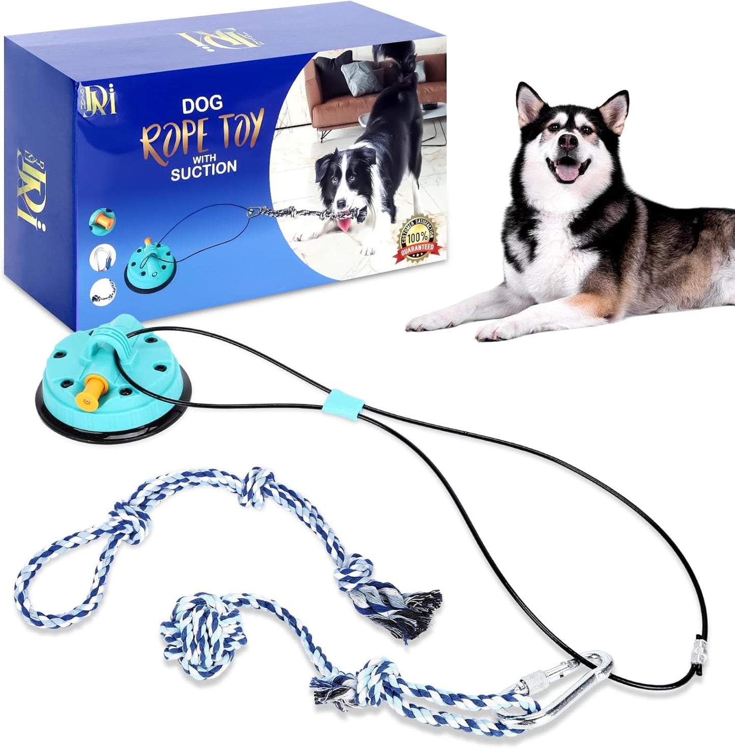 Indestructible Suction Dog Toy - DJAMII