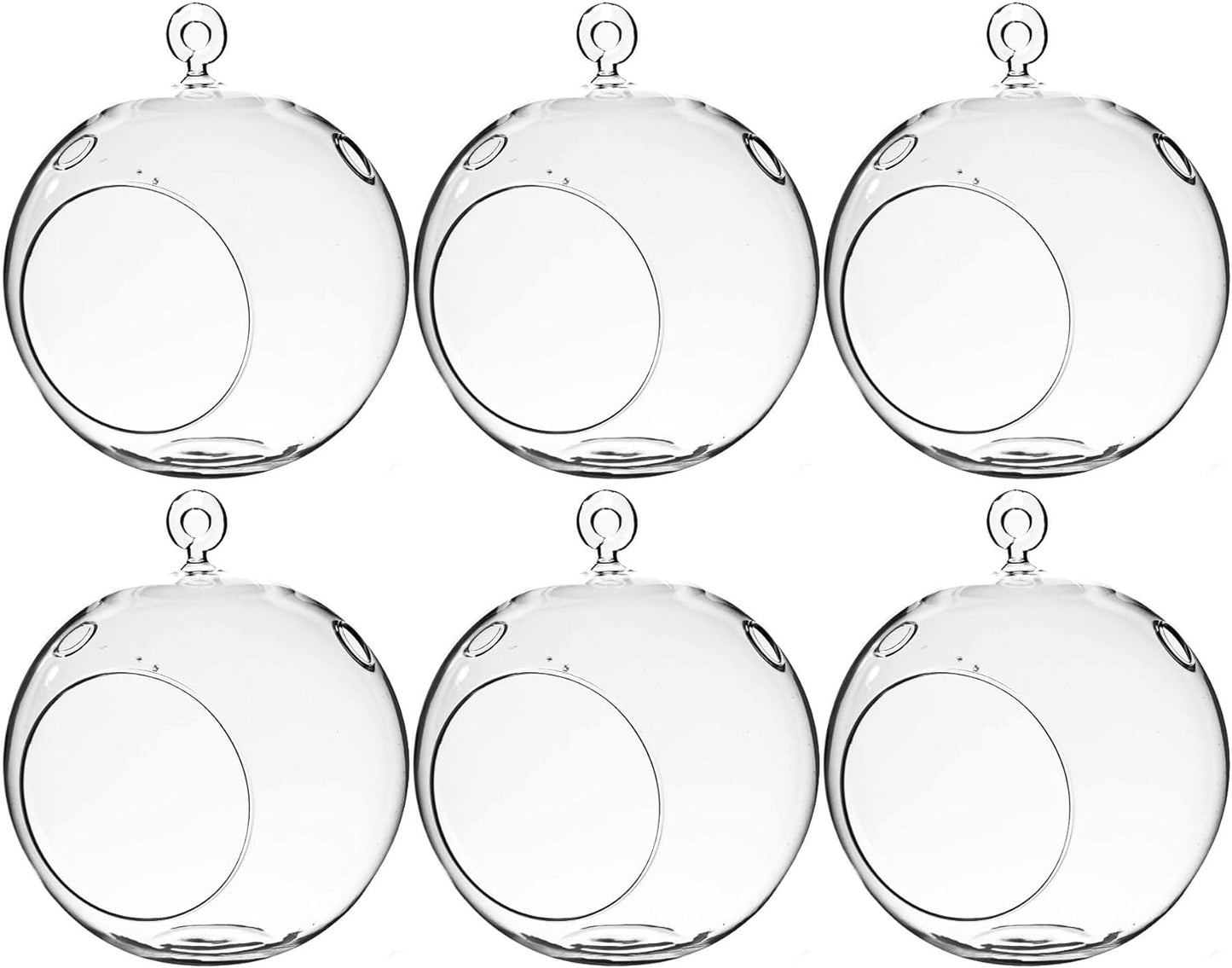 WGV Hanging Terrarium Globe for DIY Air Succulent Planter