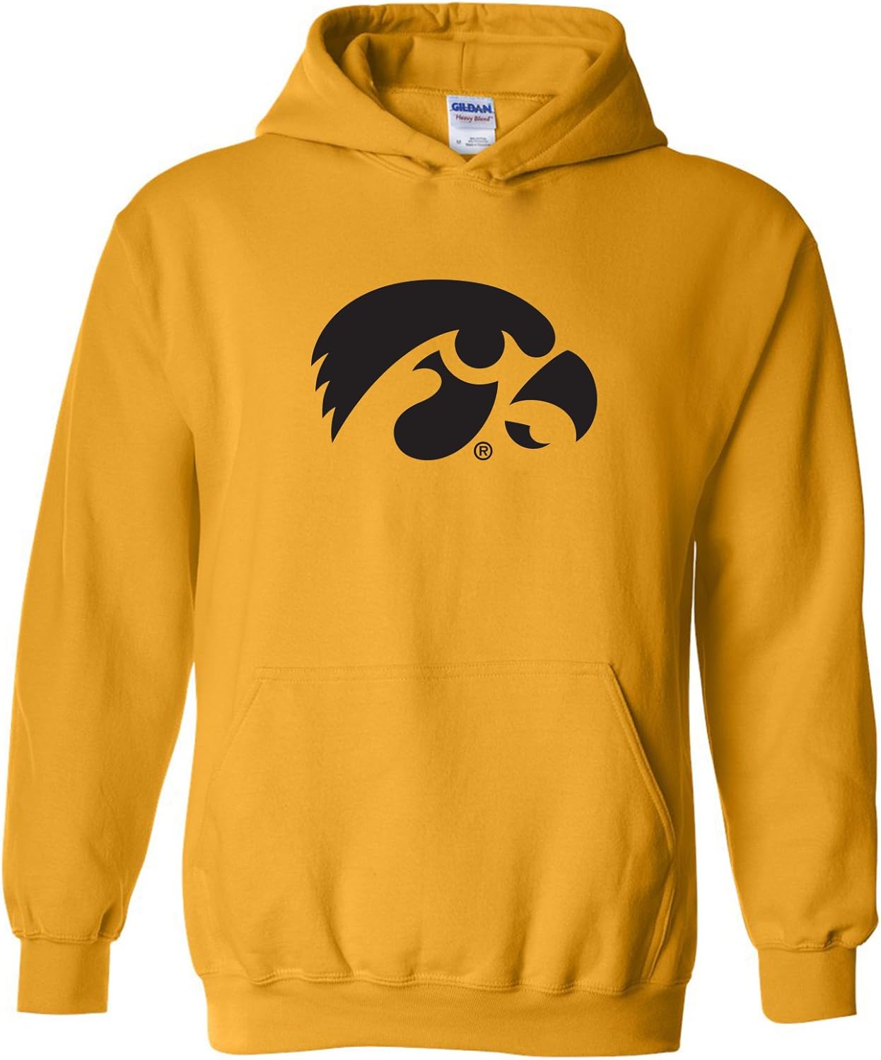 UGP Campus Apparel NCAA Primary Logo Hoodie for School Pride