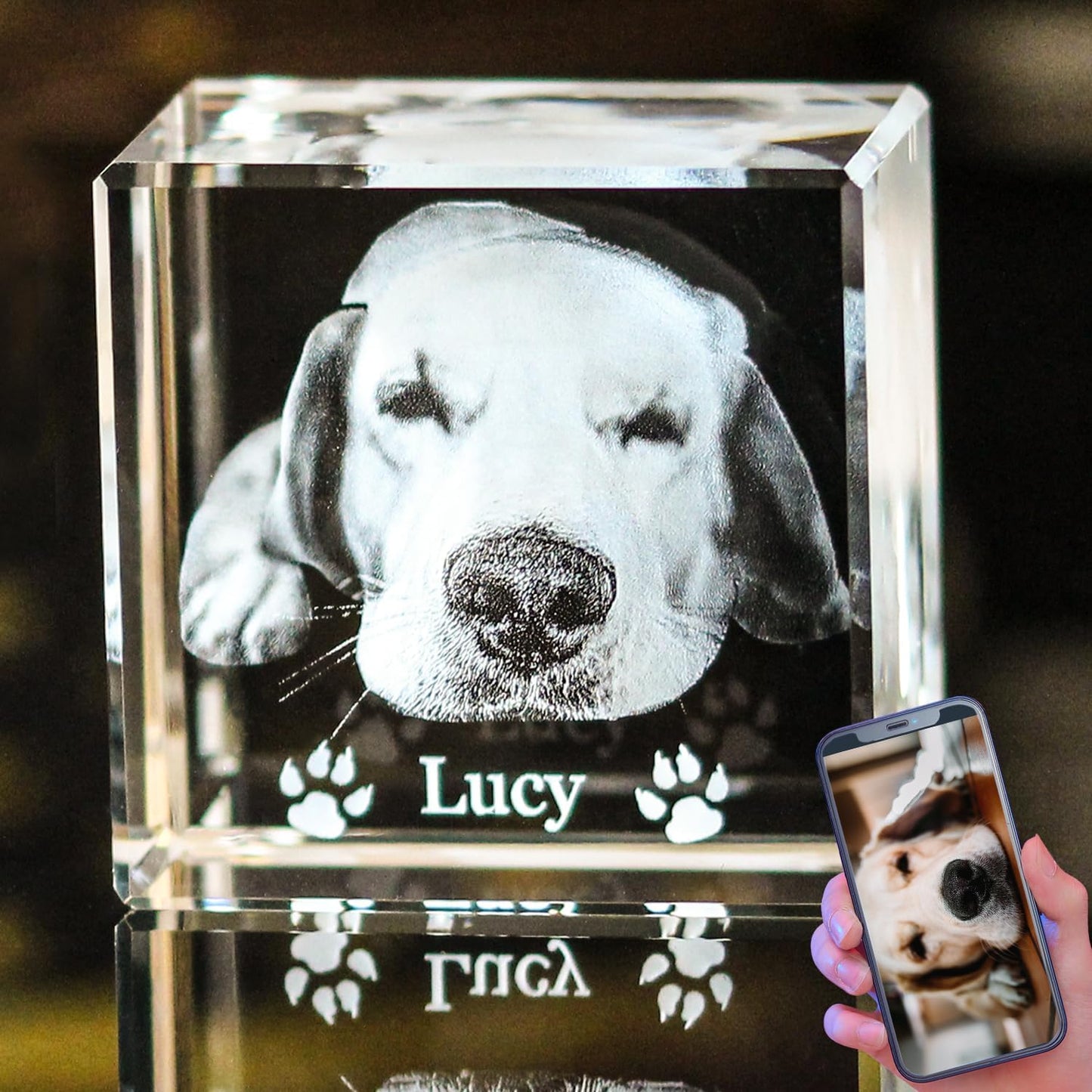 Personalized 3D Crystal Photo for Pet Memorial Gifts