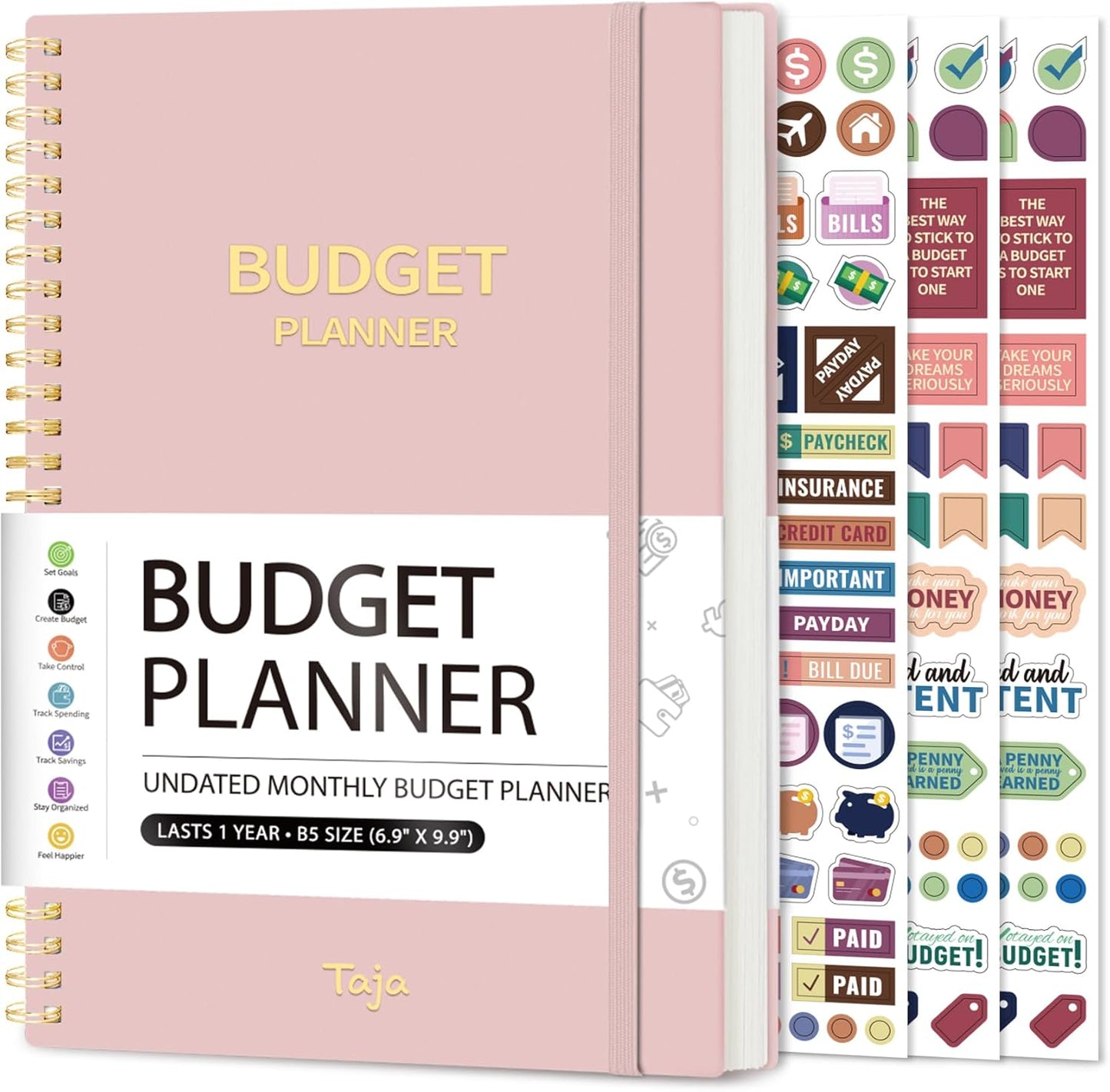 2024-2025 Pink Budget Planner for Financial Control
