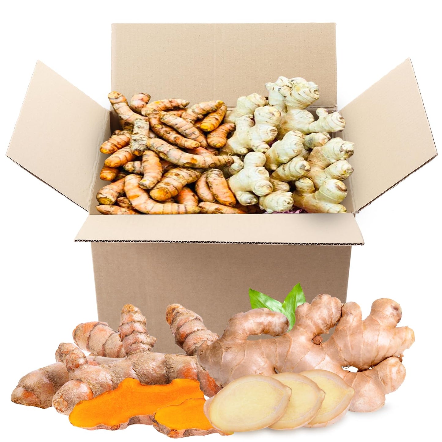 Organic Turmeric and Ginger Root Blend Box for Cooking Fresh