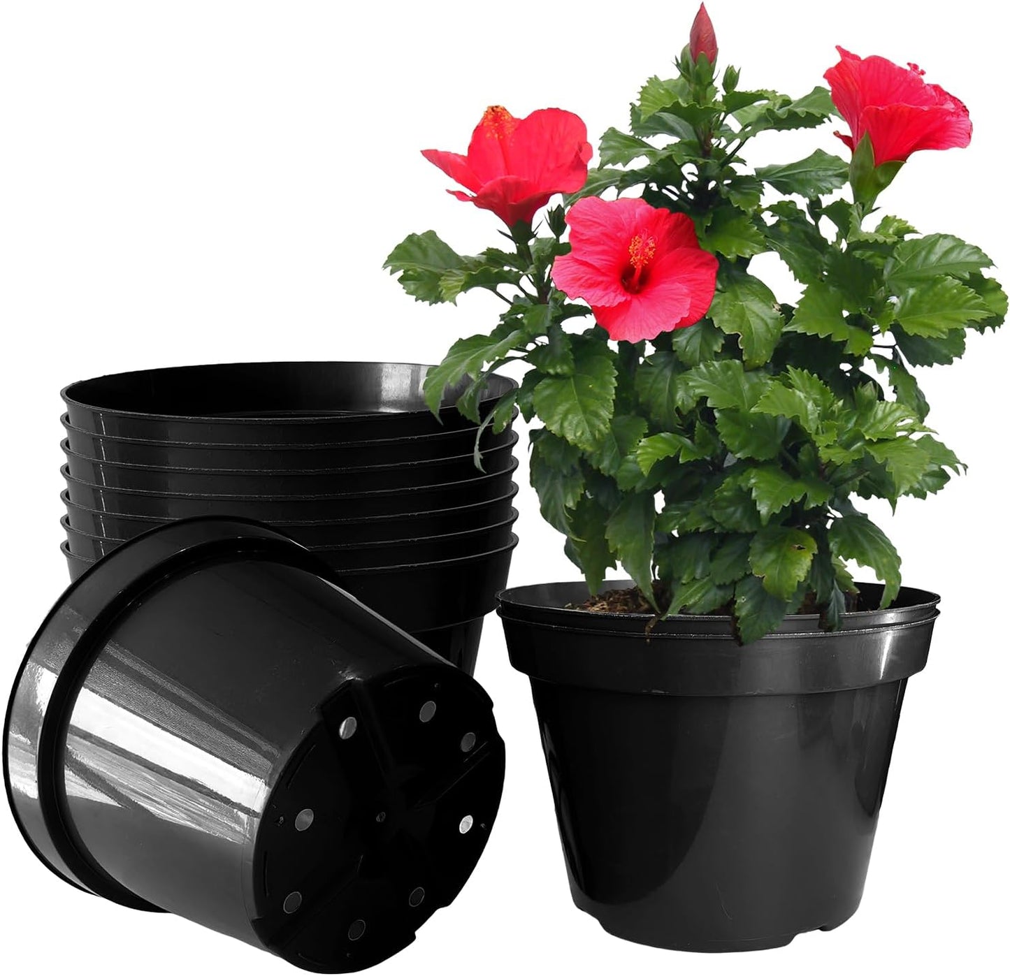 10 Inch Plastic Nursery Pots for Plants - 10 Pack with Drainage
