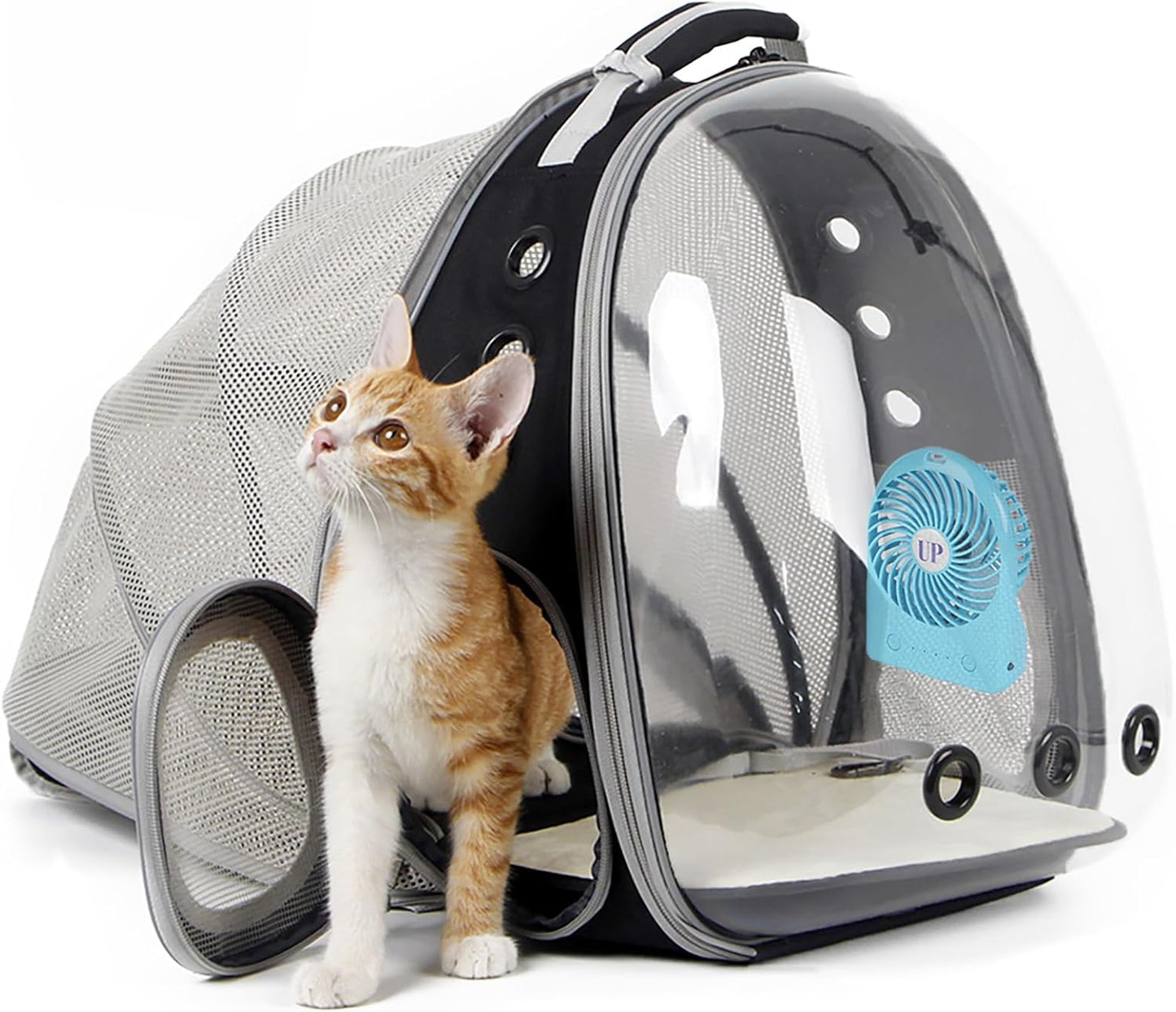 Cat Bubble Backpack with Fan for Travel and Outdoor Adventures