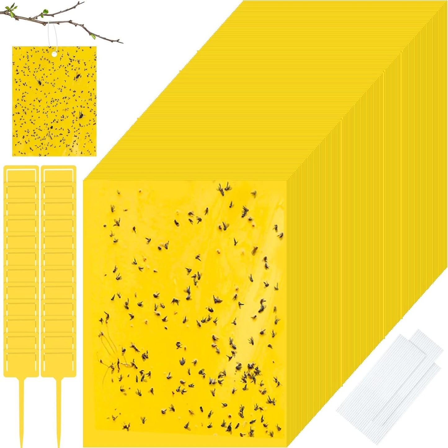 Qualirey 200 Pcs Sticky Traps for Gnats - Dual Sided