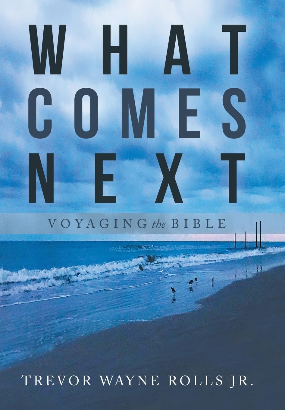 What Comes Next: Voyaging the Bible - A Journey Through Faith