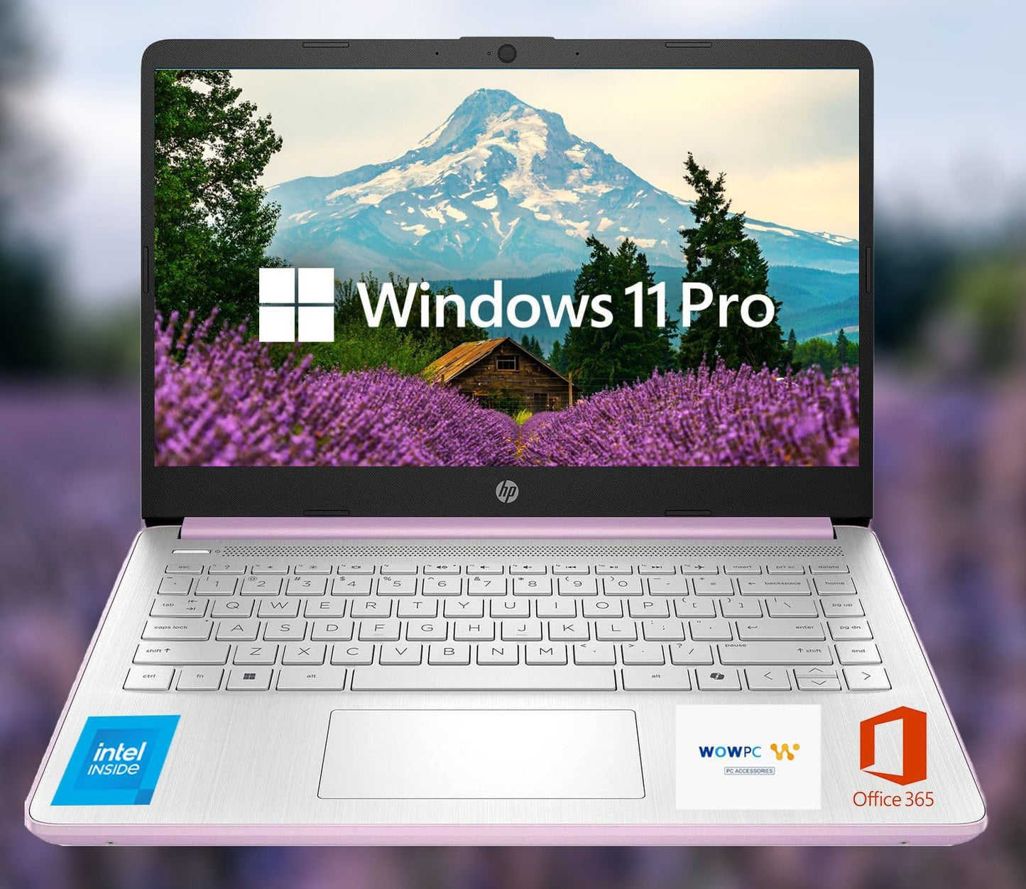 HP 14 Ultrabook with Intel CPU and 1.6TB Storage Bundle