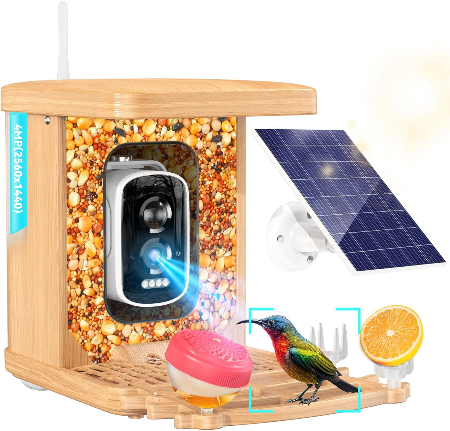 2K HD Smart Bird Feeder with AI Camera