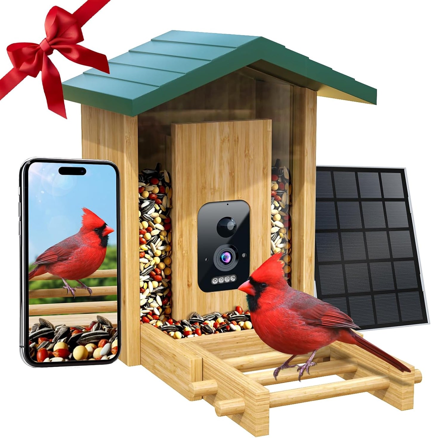 Smart Bird Feeder Camera: Identify 12000+ Species