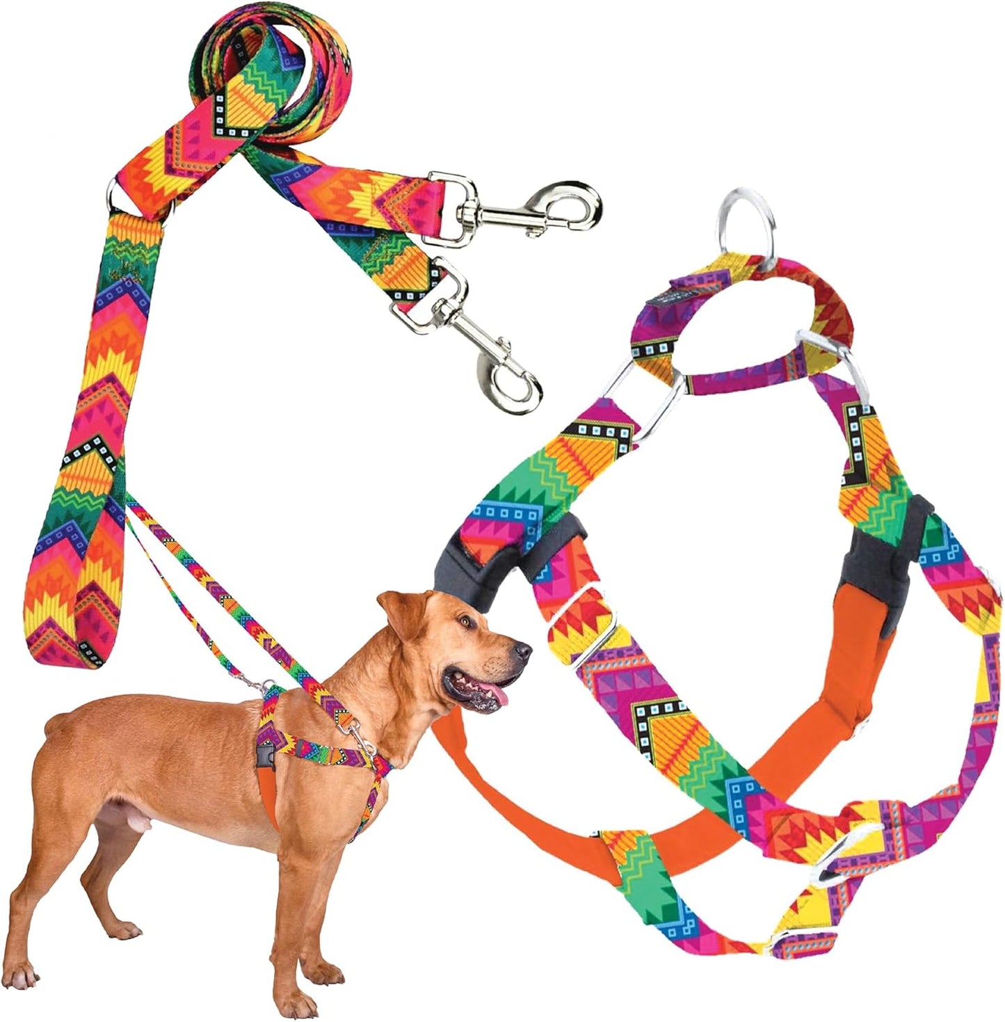 Freedom No-Pull Harness & Training Leash for Large Dogs